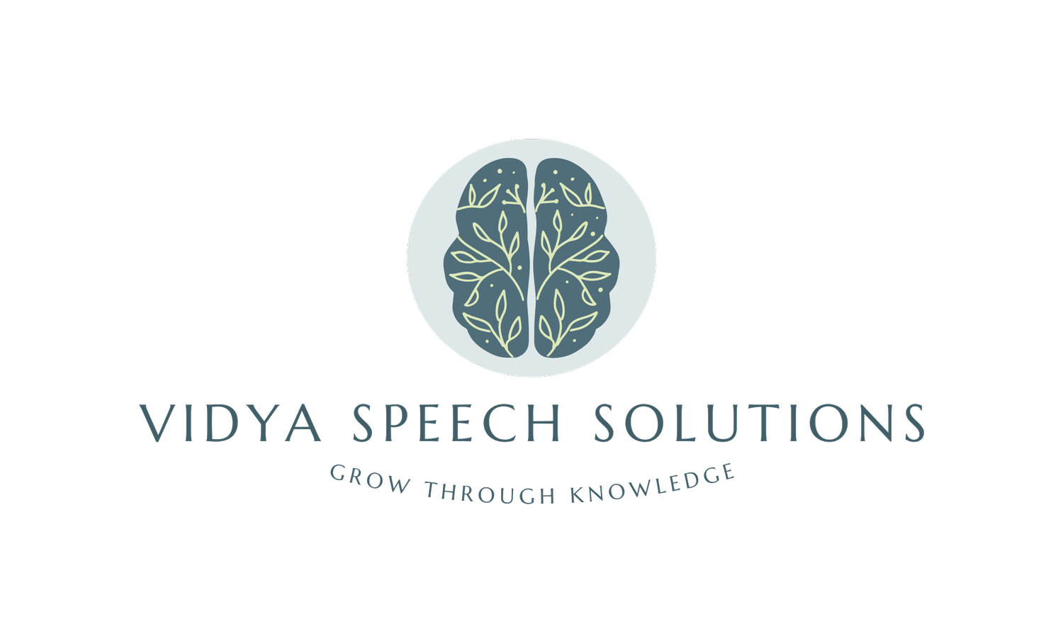 Vidya Speech Solutions