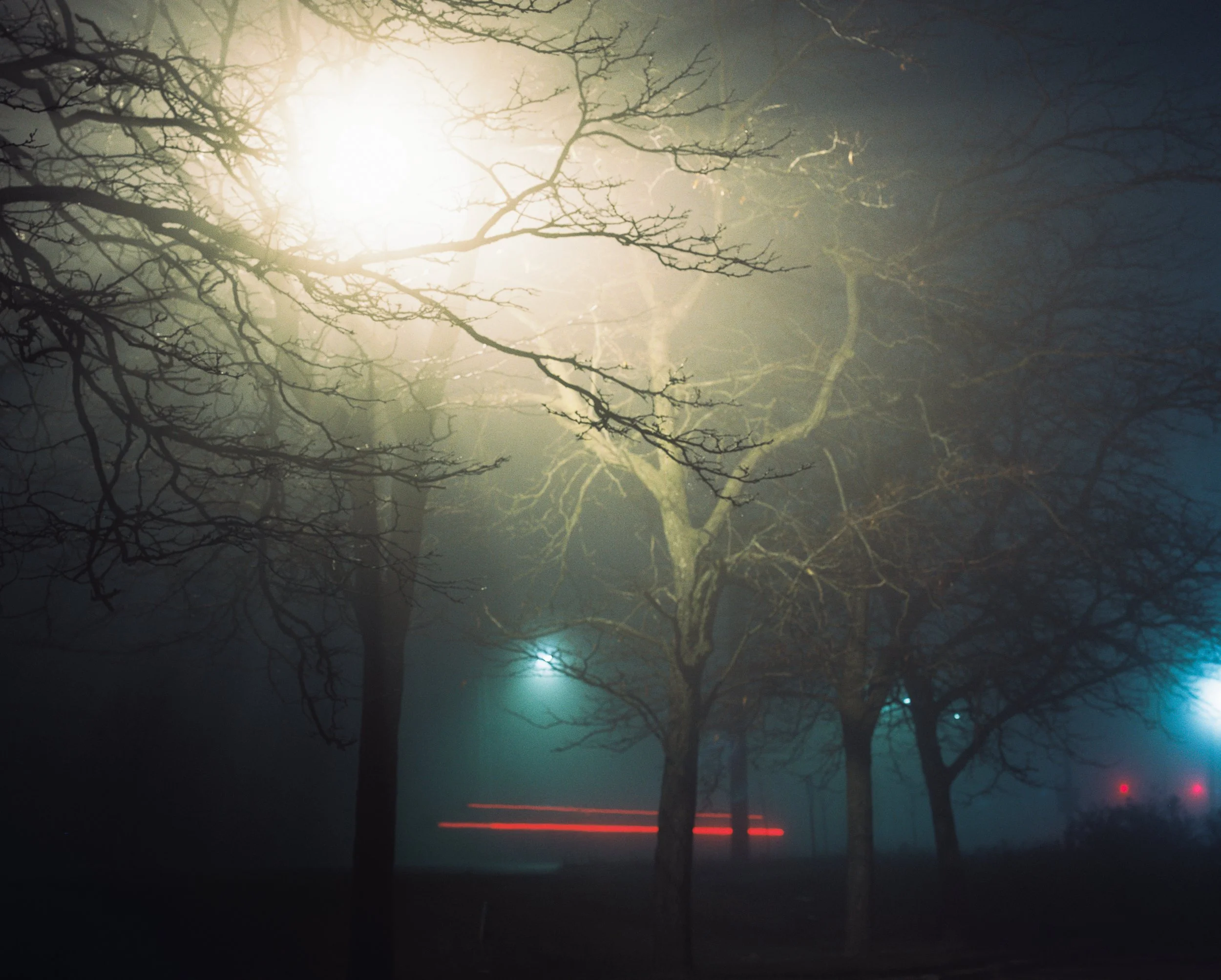 Night Fog-8.jpg