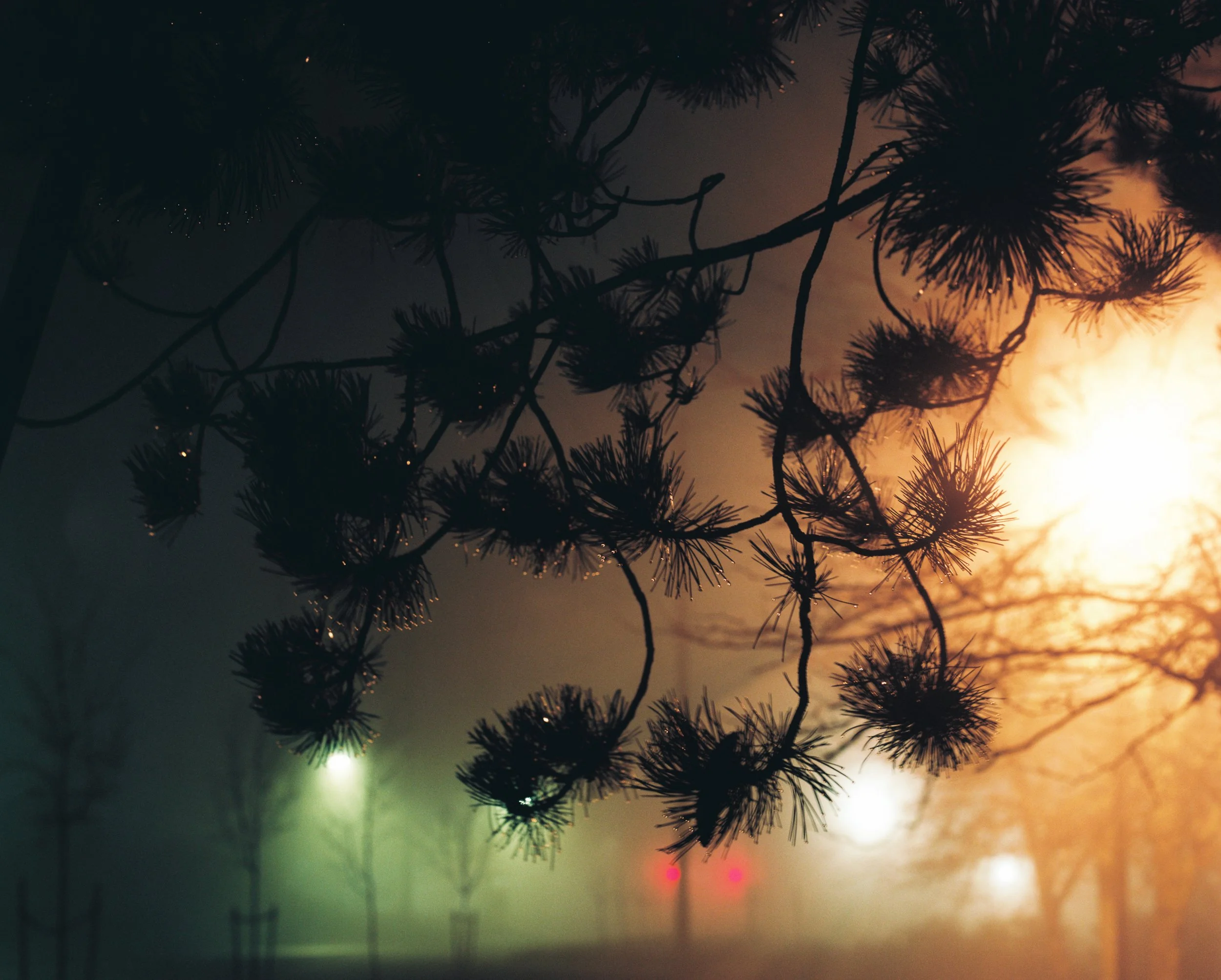 Night Fog-18.jpg