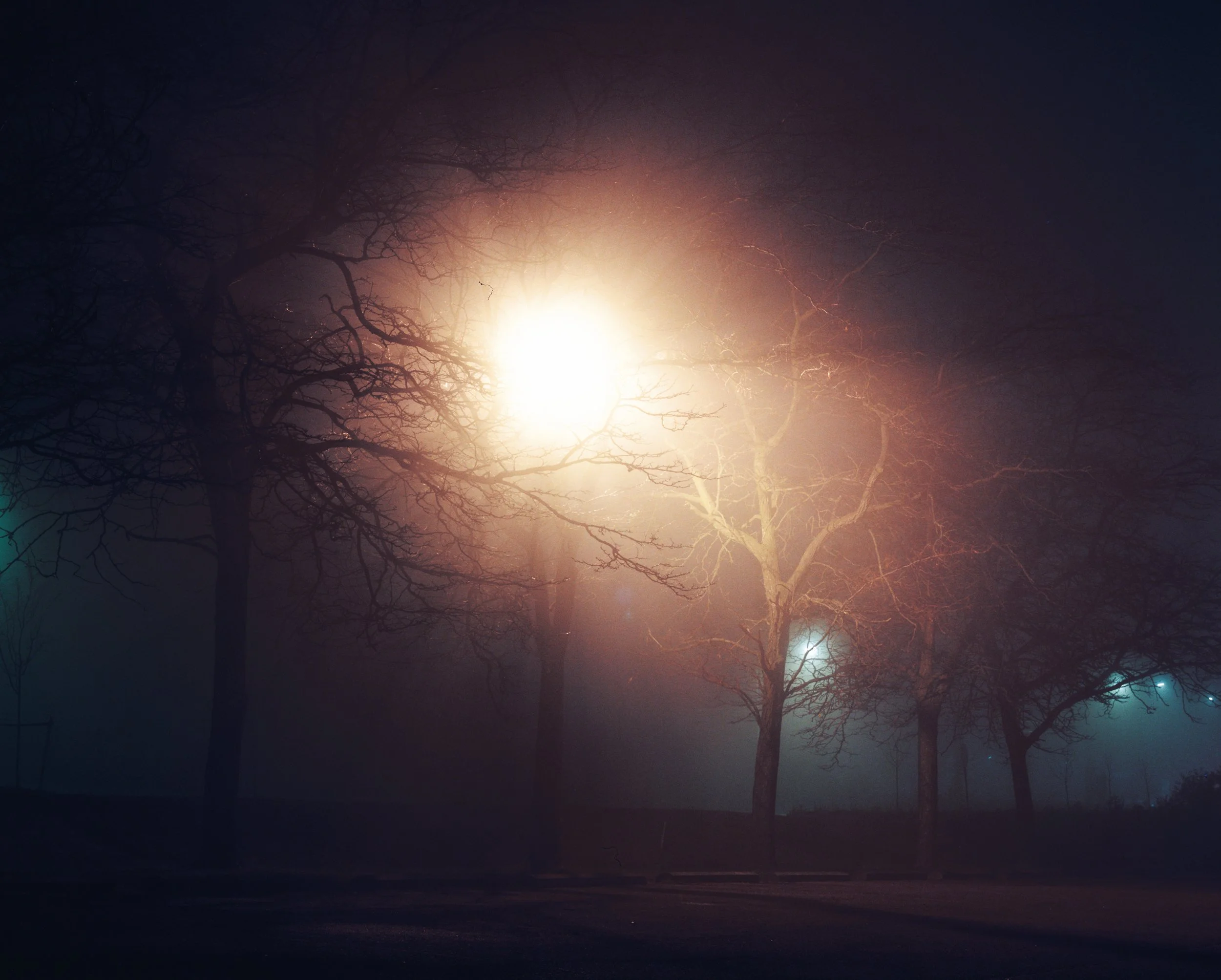 Night Fog-4.jpg