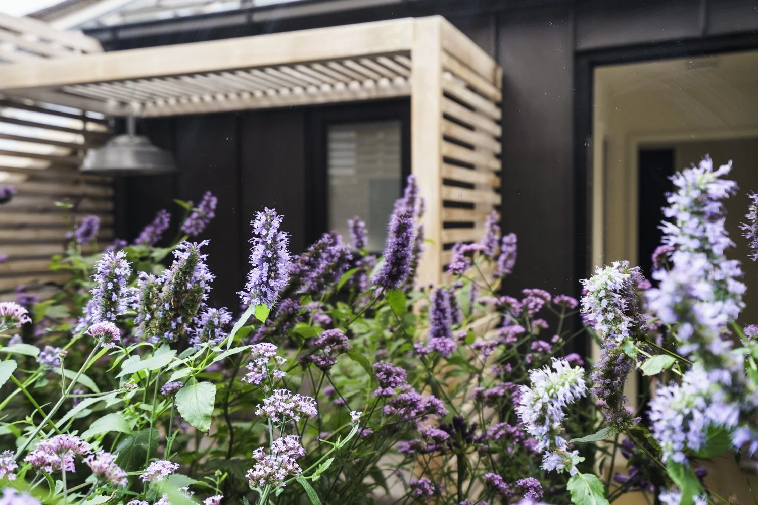 lis_eriksson_maida_vale_mews_-420 (1).jpg