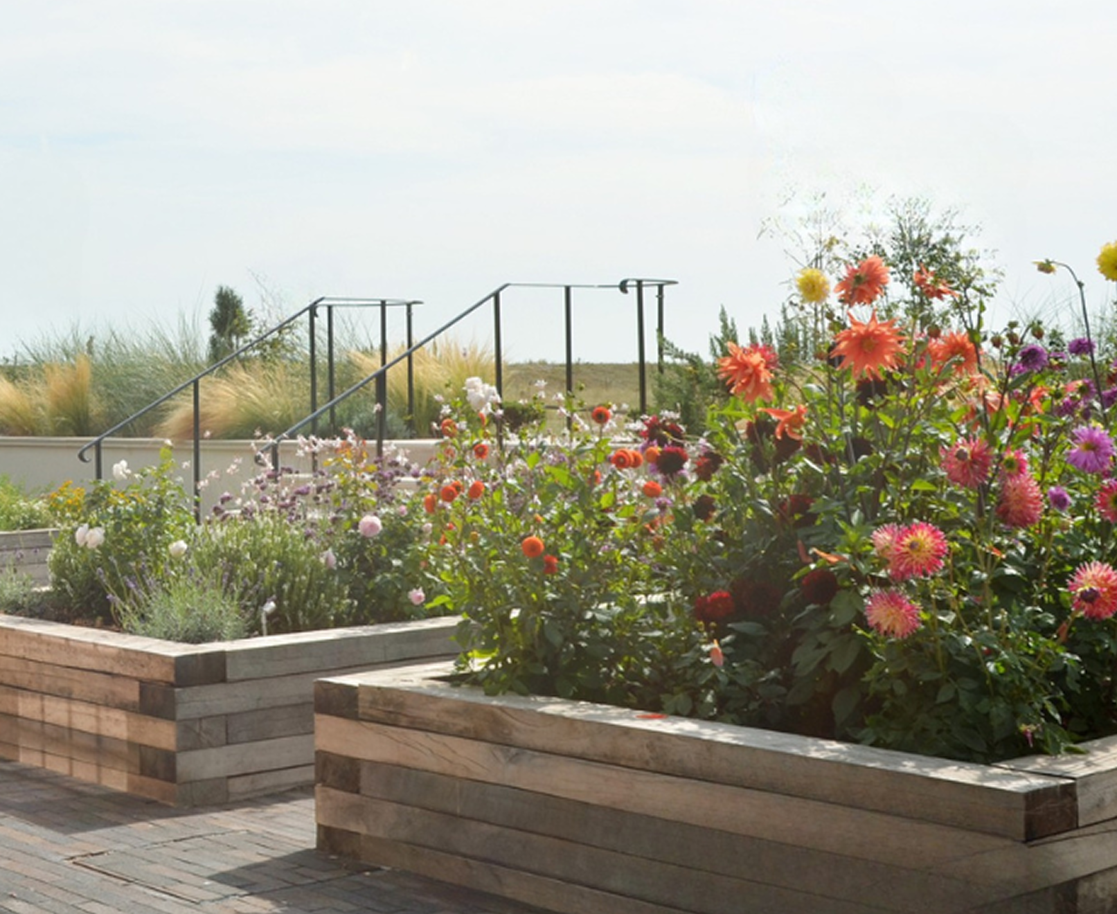 Sandilands Veg Flower Beds 1.png