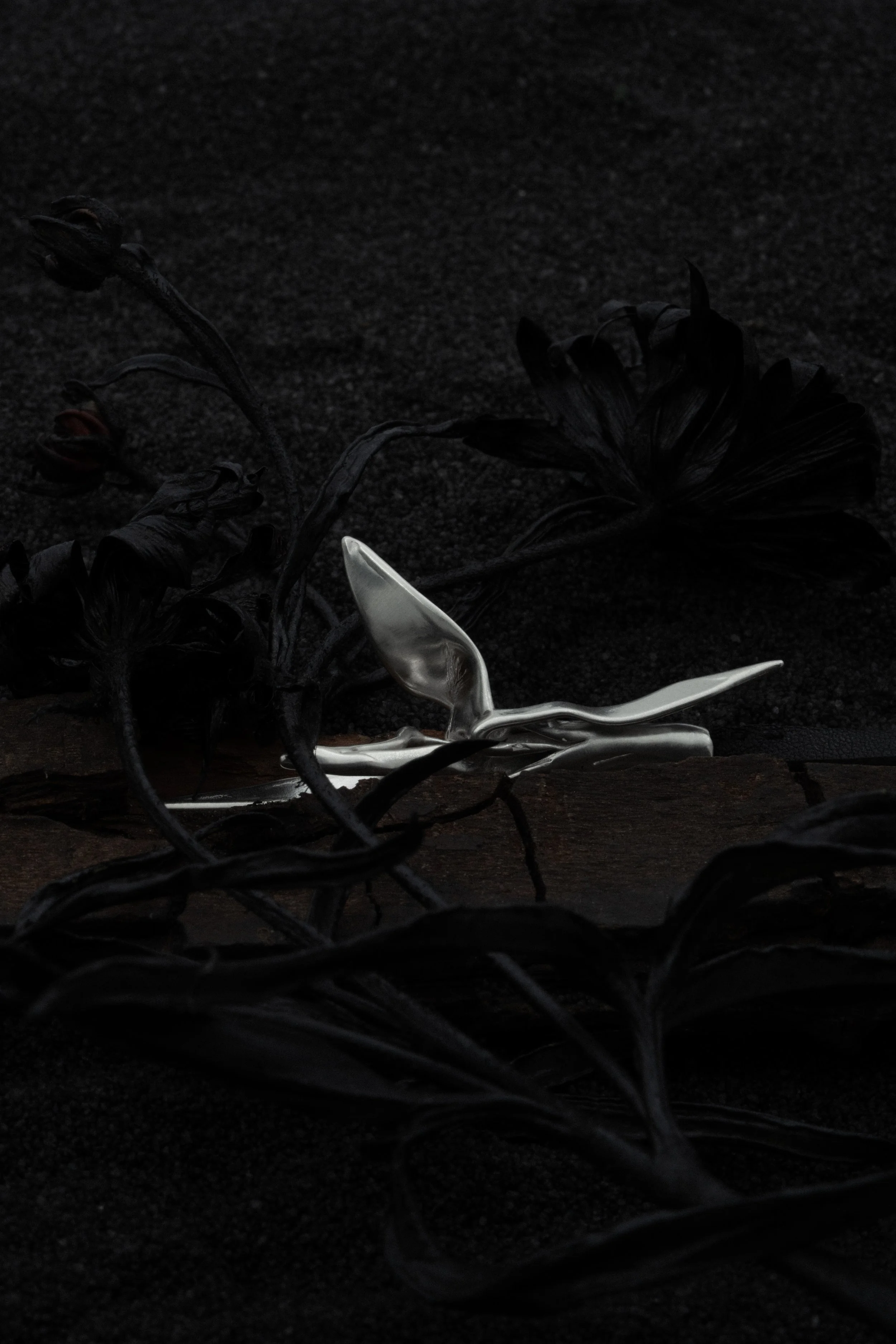 DSC01098.jpg