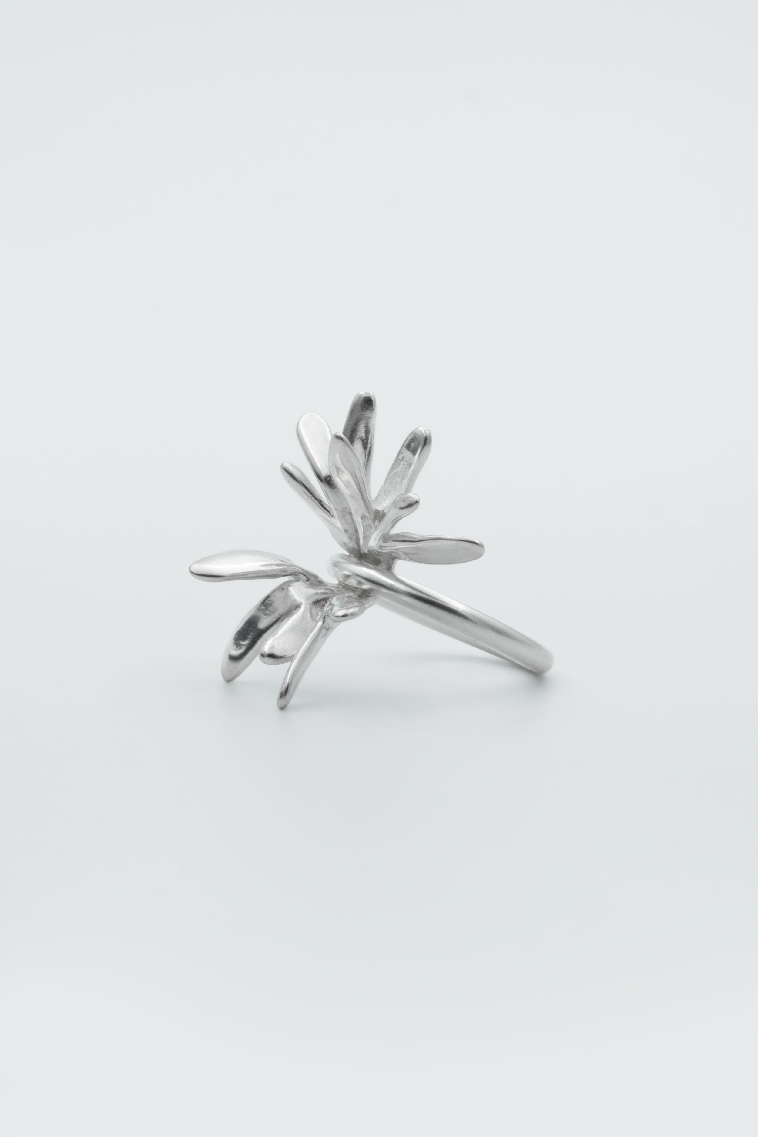 Arnica-ring.jpg