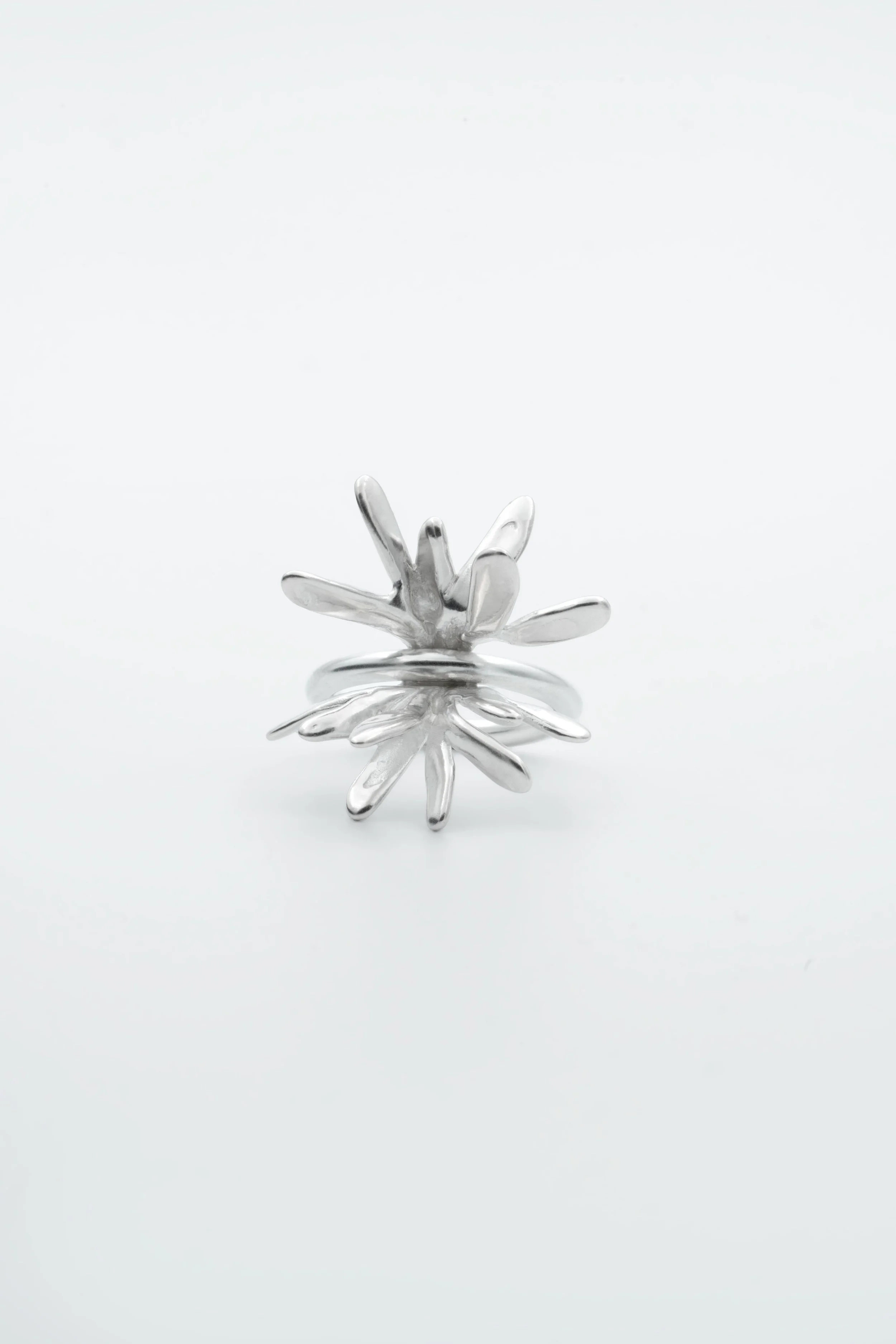 Arnica ring