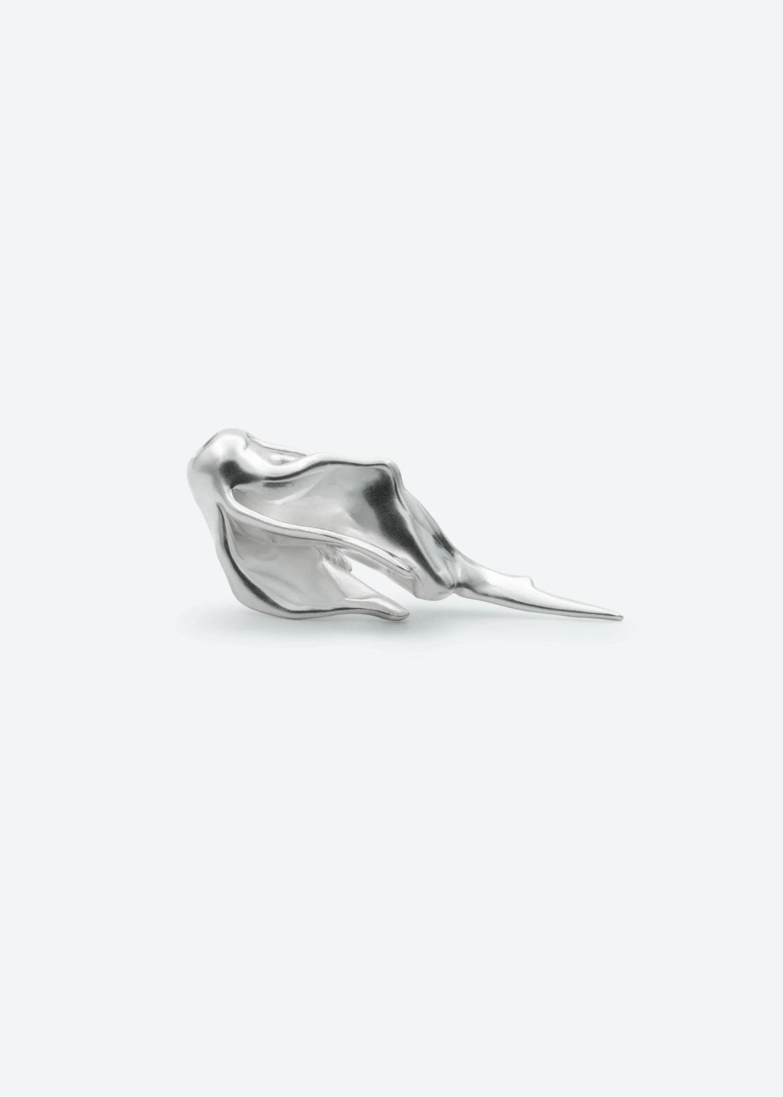 Ozolyte_silver_pendant.jpg