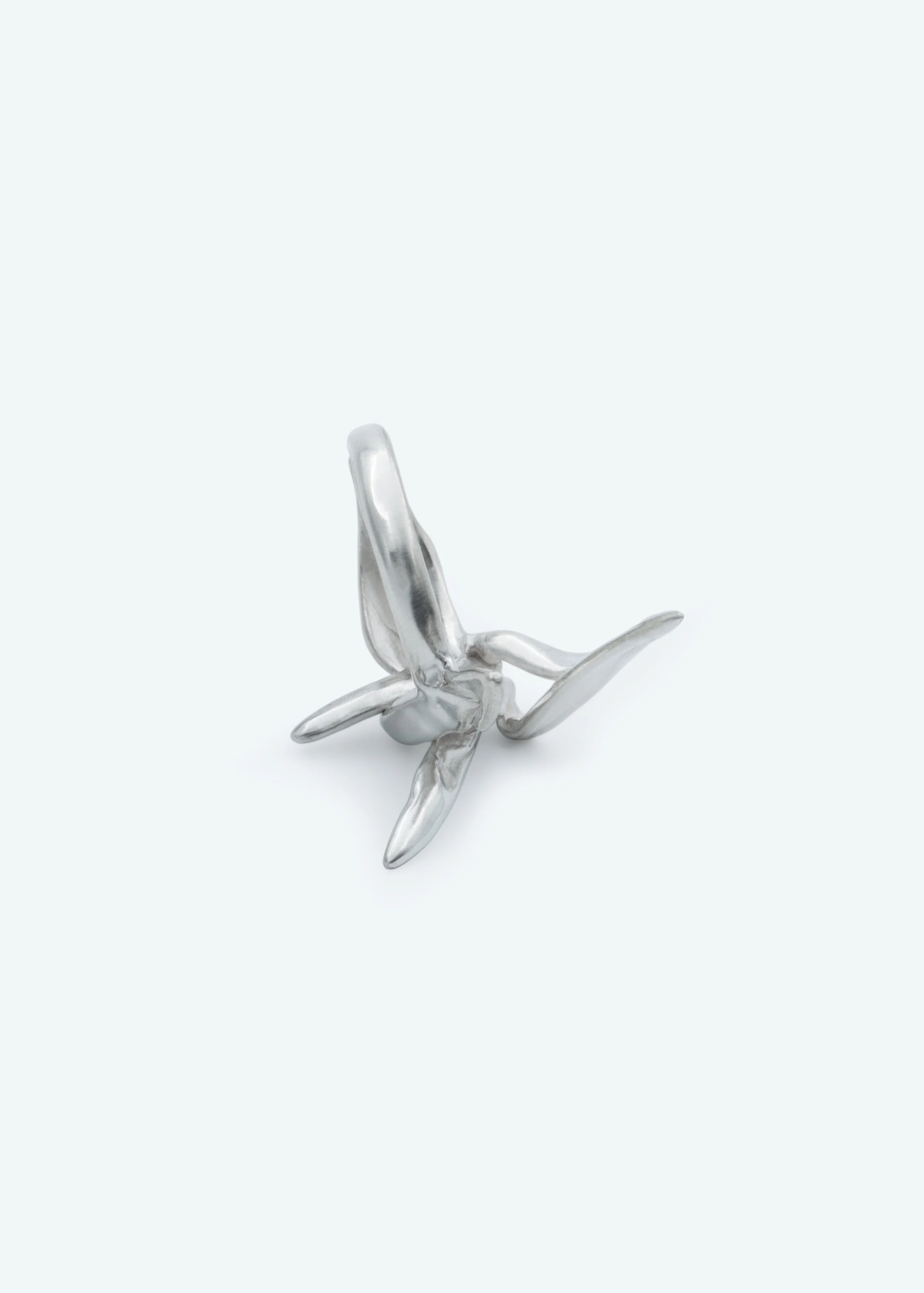 Lotoss-ring.jpg