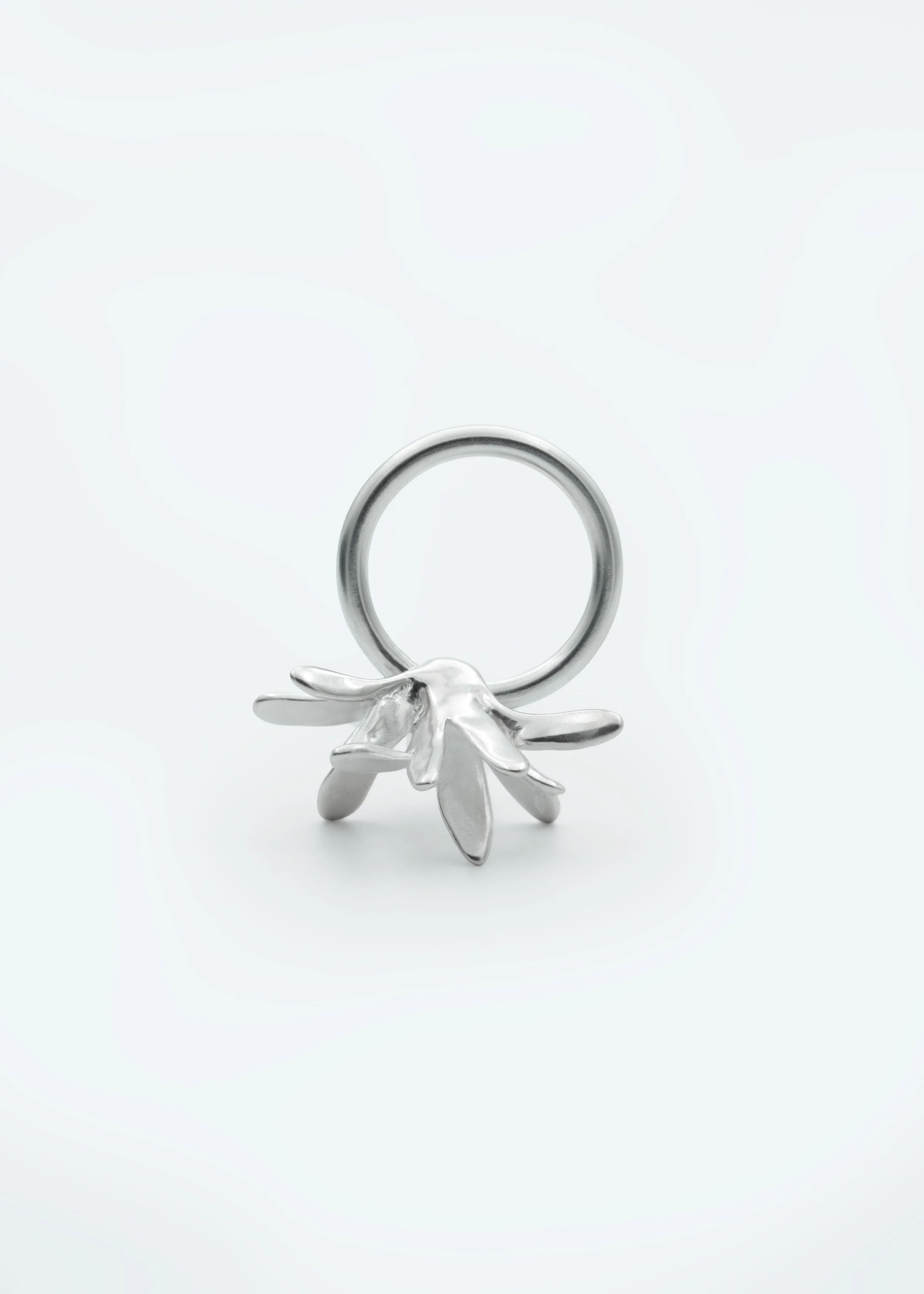 Kiku-Ring-2.jpg