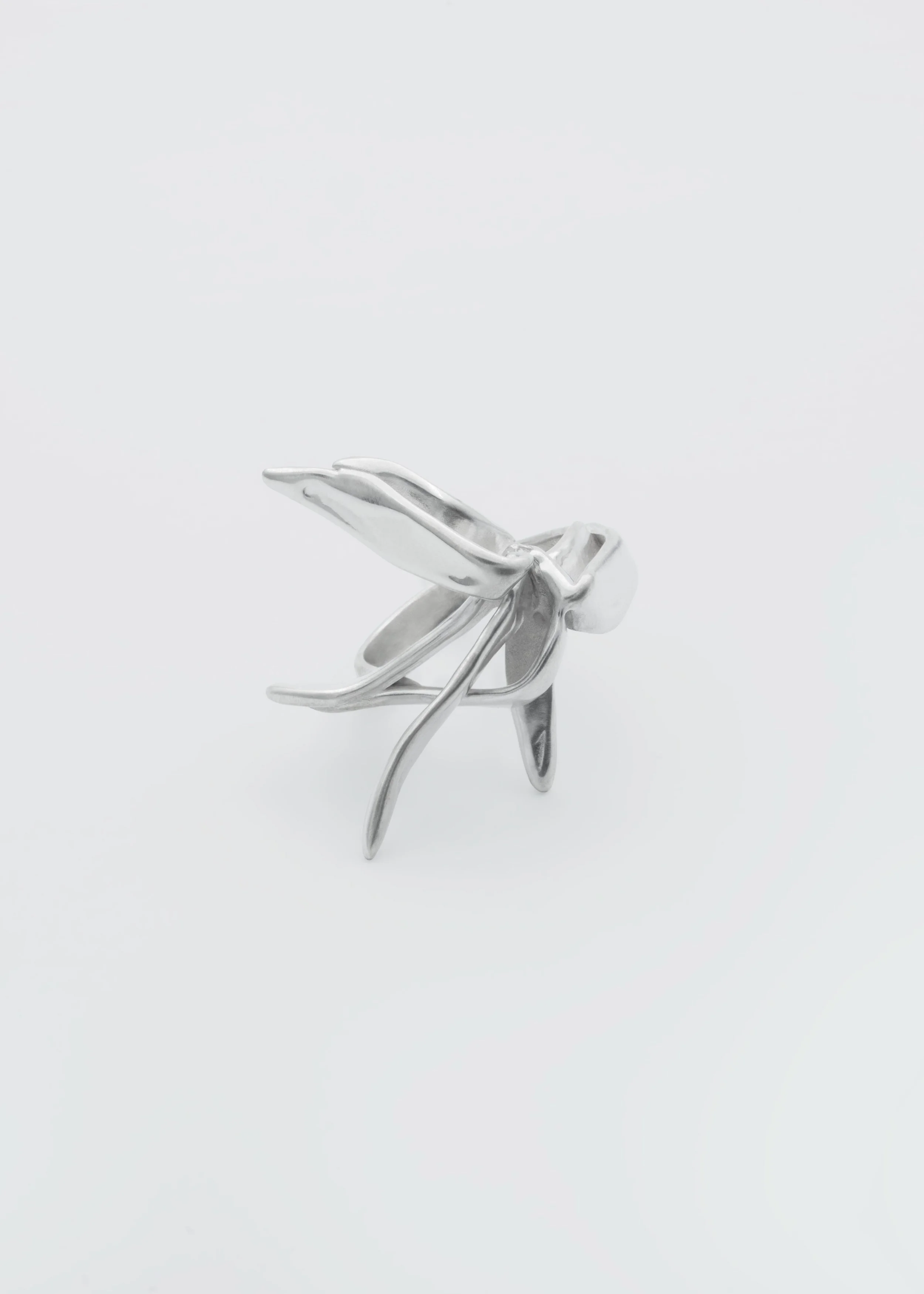 Lotoss-ring-3.jpg