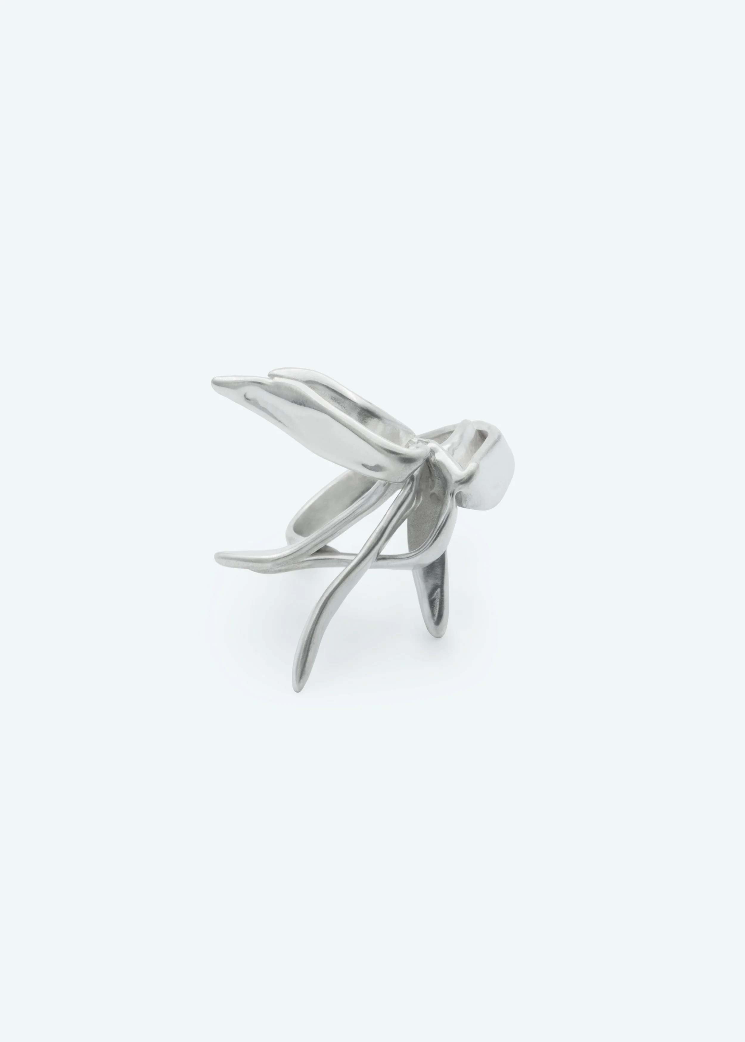Lotoss-silver-ring.jpg