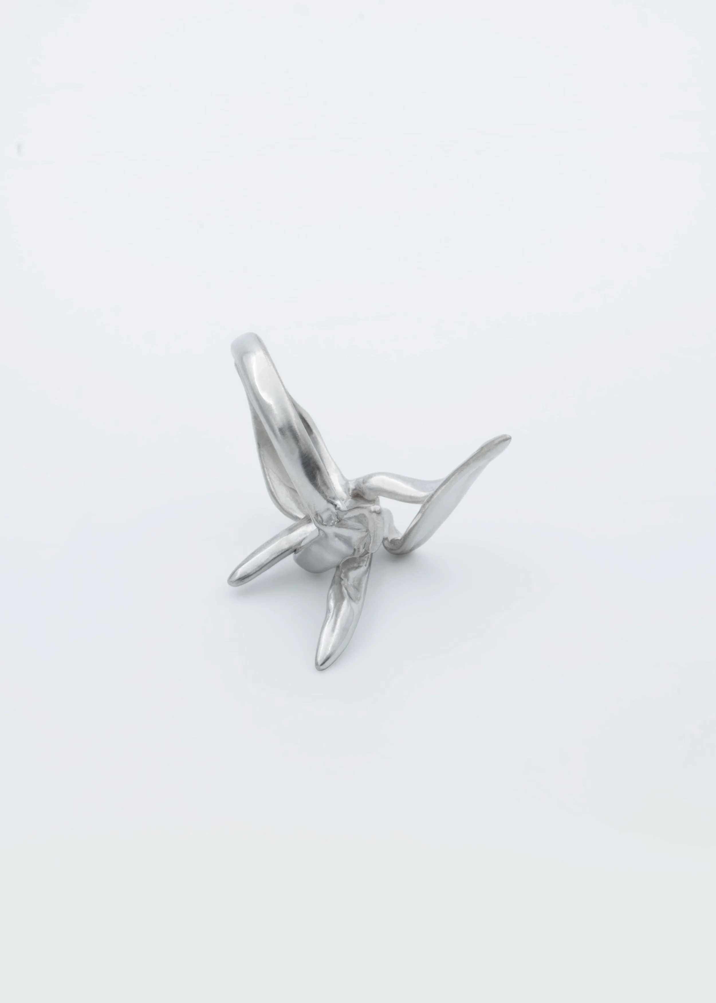 Lotoss-ring-2.jpg