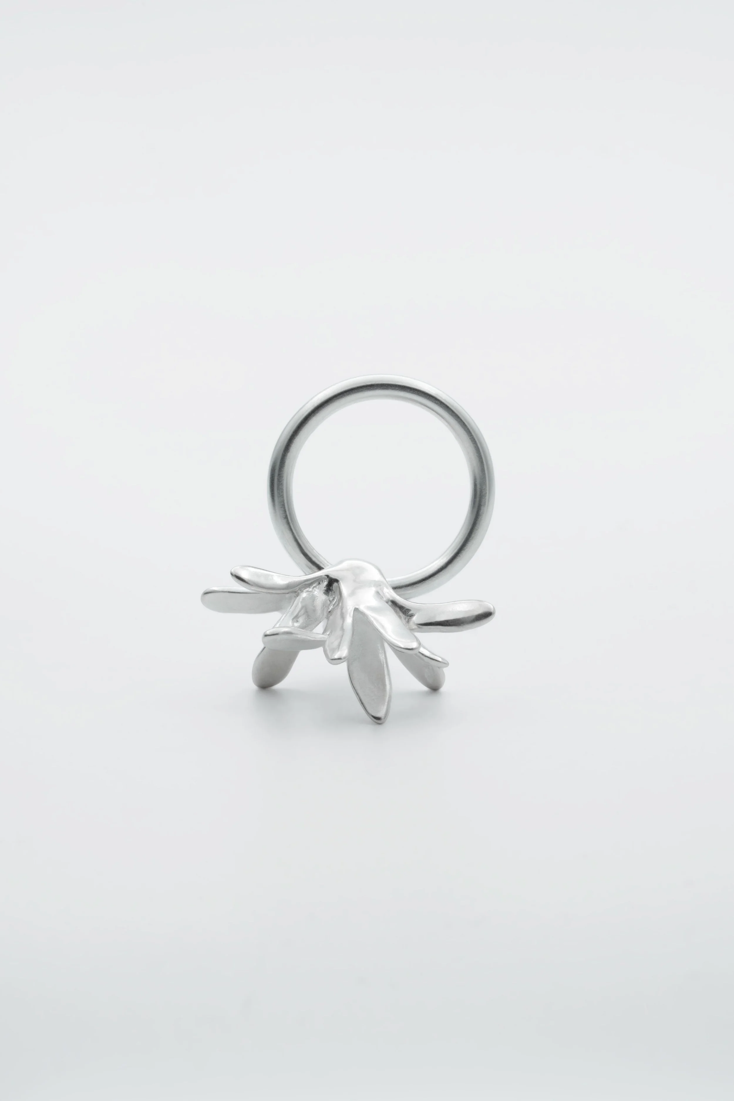 Kiku-ring-2.jpg