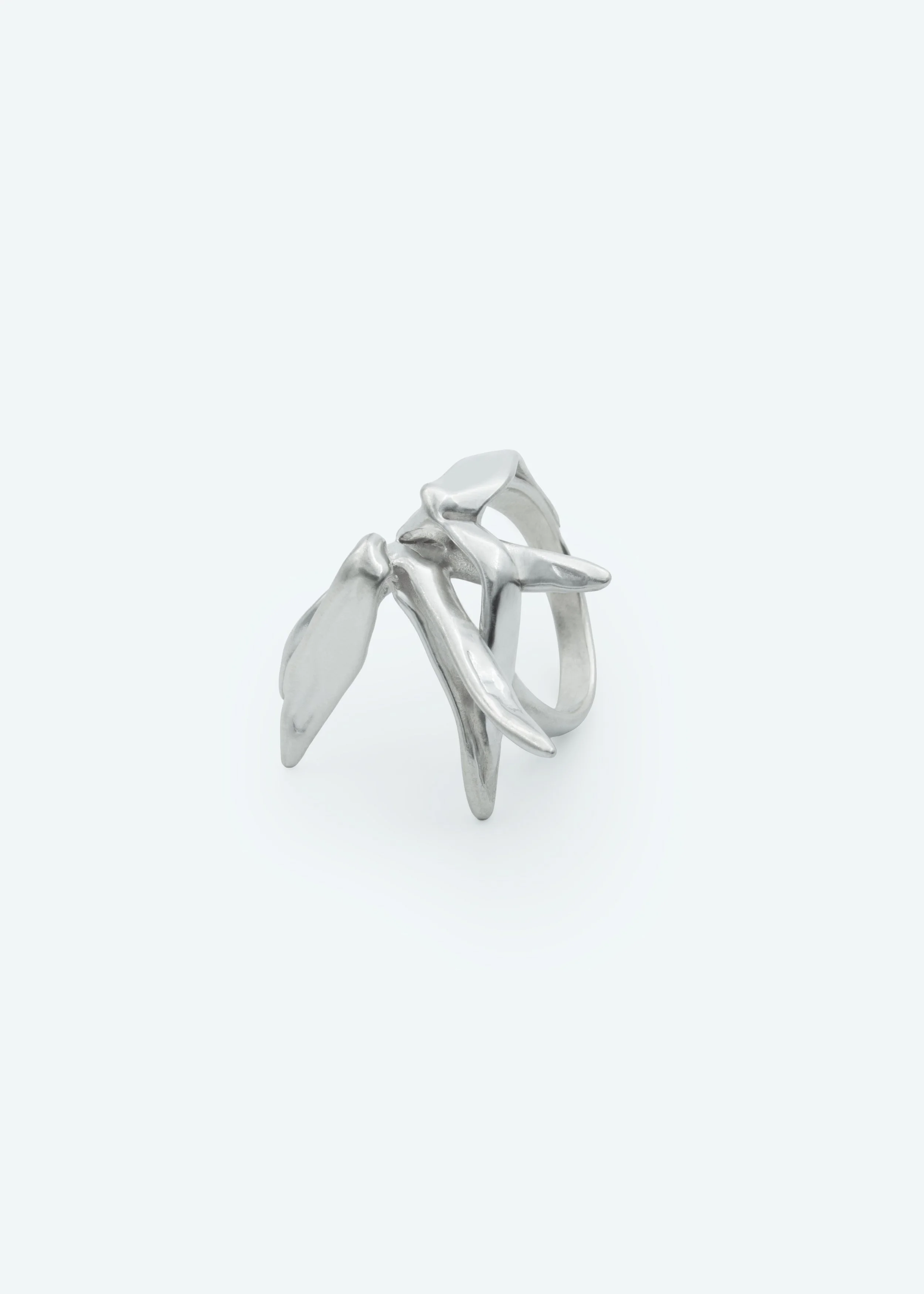 Lotoss-ring-2.jpg