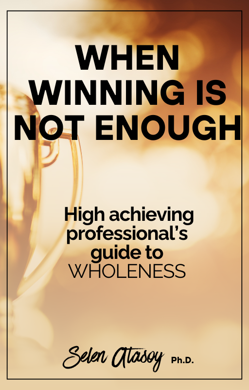 High achiever’s guide to wholeness.png