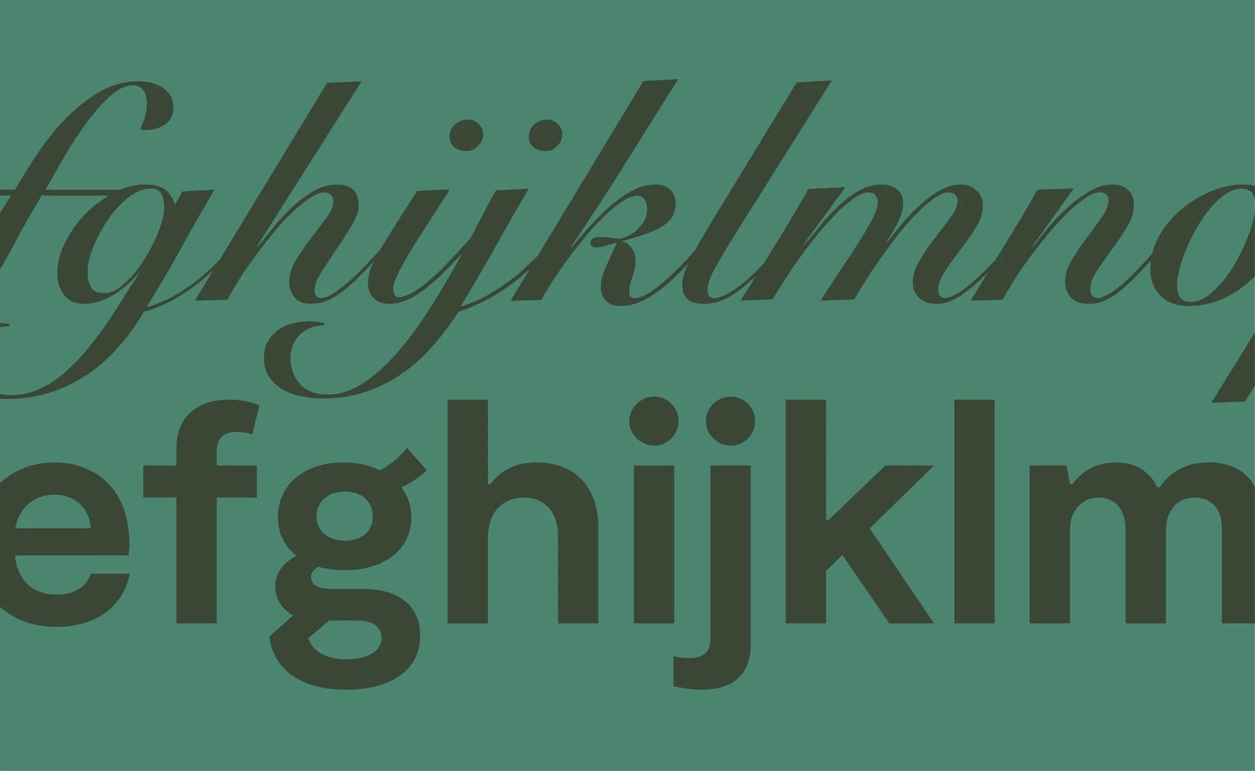 Comparison of serif and sans-serif lowercase letters on a green background.