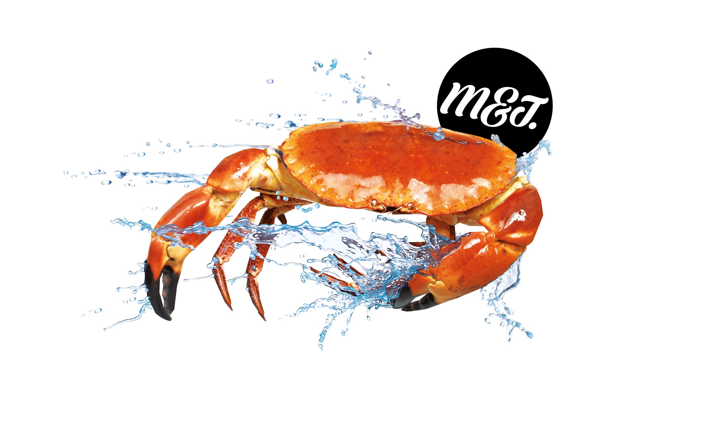 Red crab with water splash and "M&T" text logo against a white background.