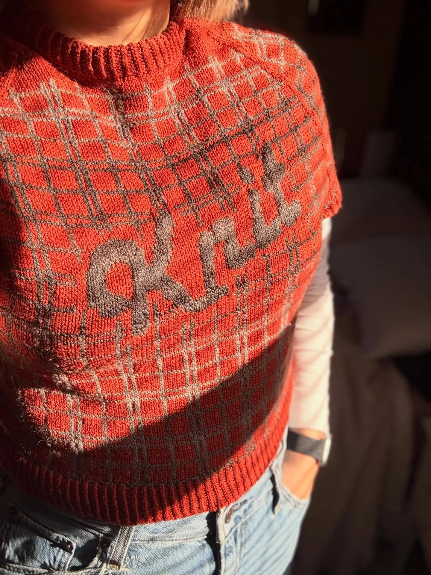 Feeling cute ☺️ might delete later ✌️ 

Pattern: Vintage Flannel by @_.annajohanna._ 
Yarn: nocturn and moonspun by @spincycle_yarns and @moondrakeco