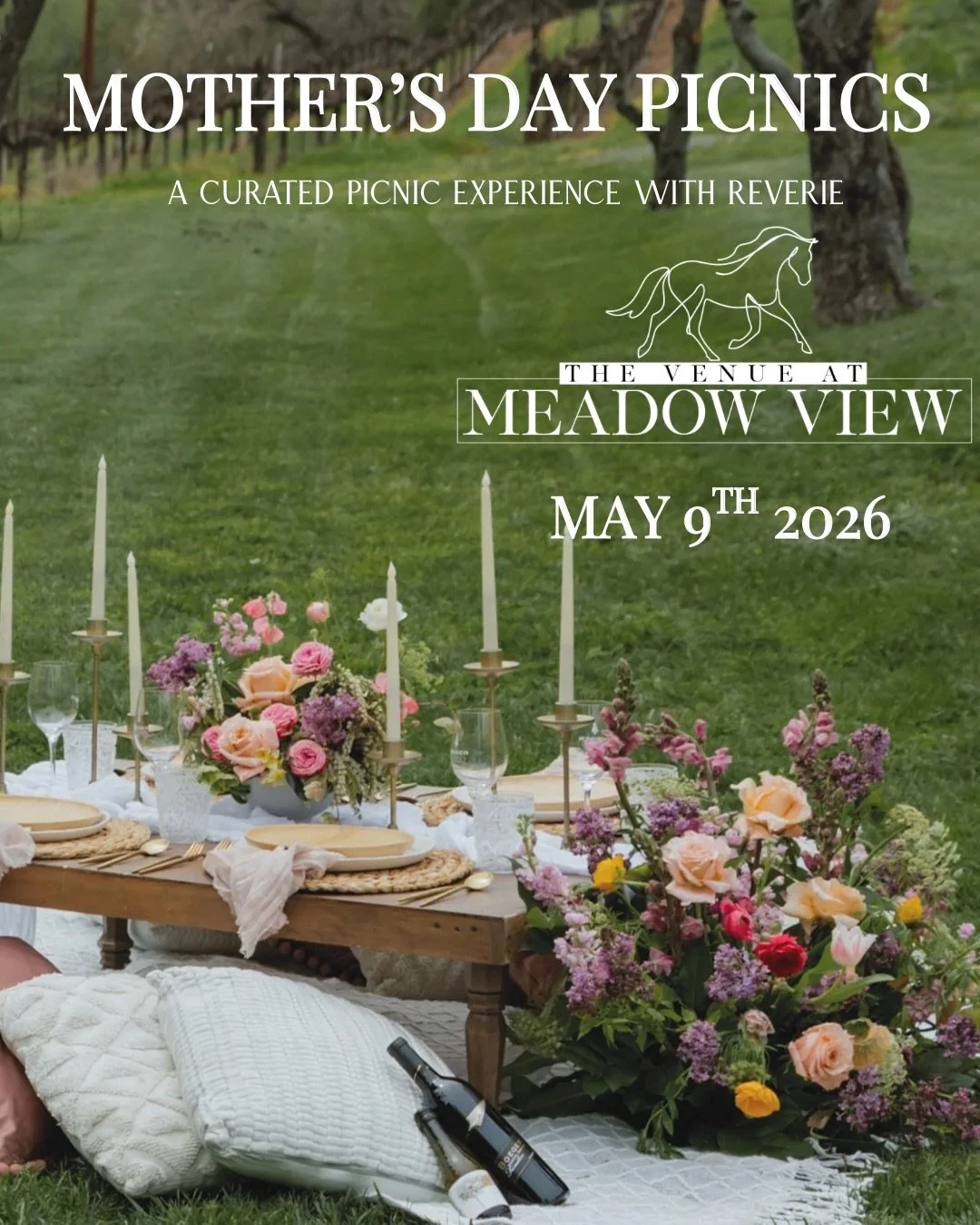 Join us for a beautiful Mother&rsquo;s Day at @thevenueatmeadowview 🌷A day designed to celebrate moms, connection, and community 💕

Spend the afternoon gathered around a thoughtfully styled picnic, enjoying curated bites, champagne, and a relaxed o