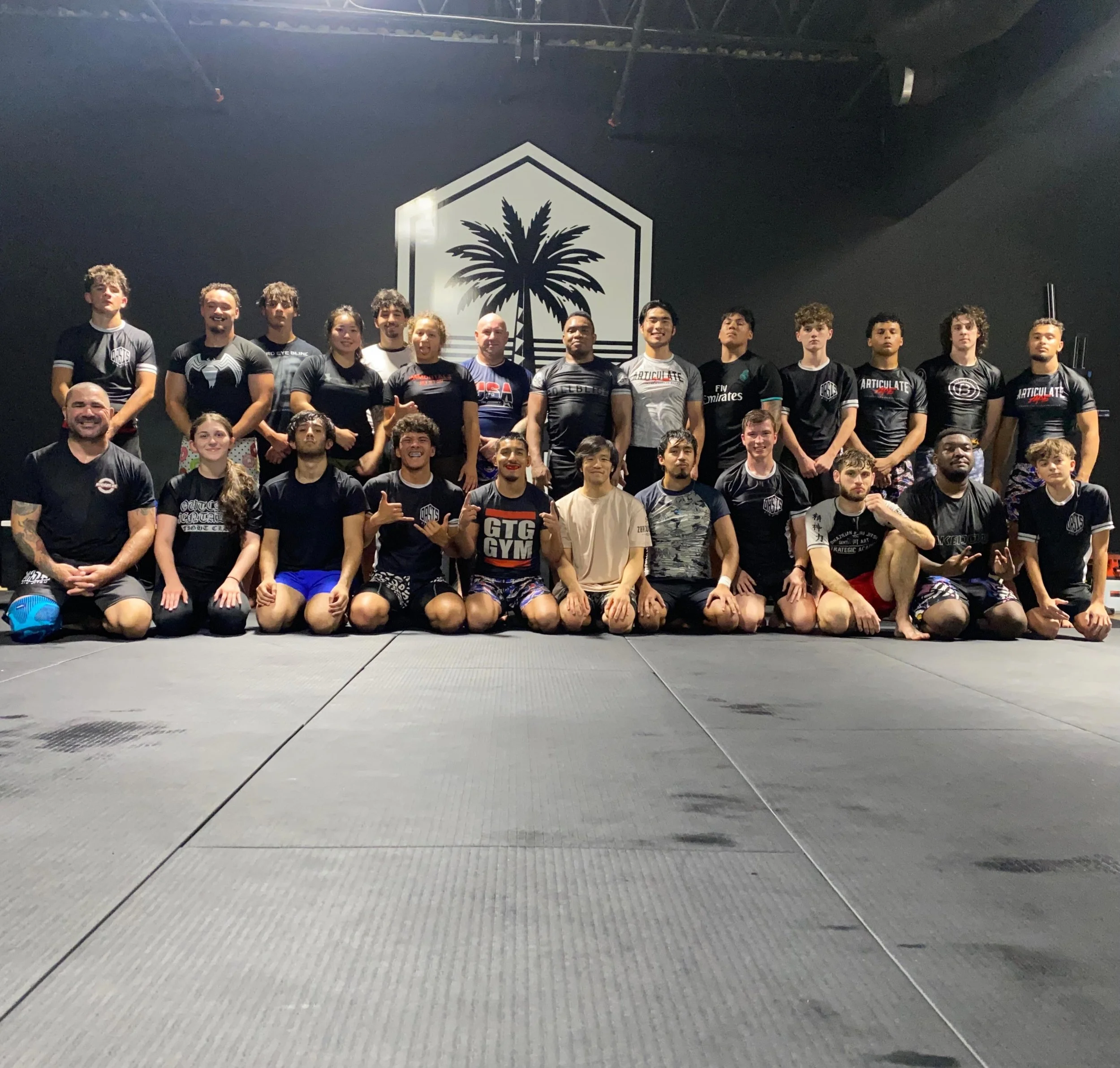 Jiu-Jitsu