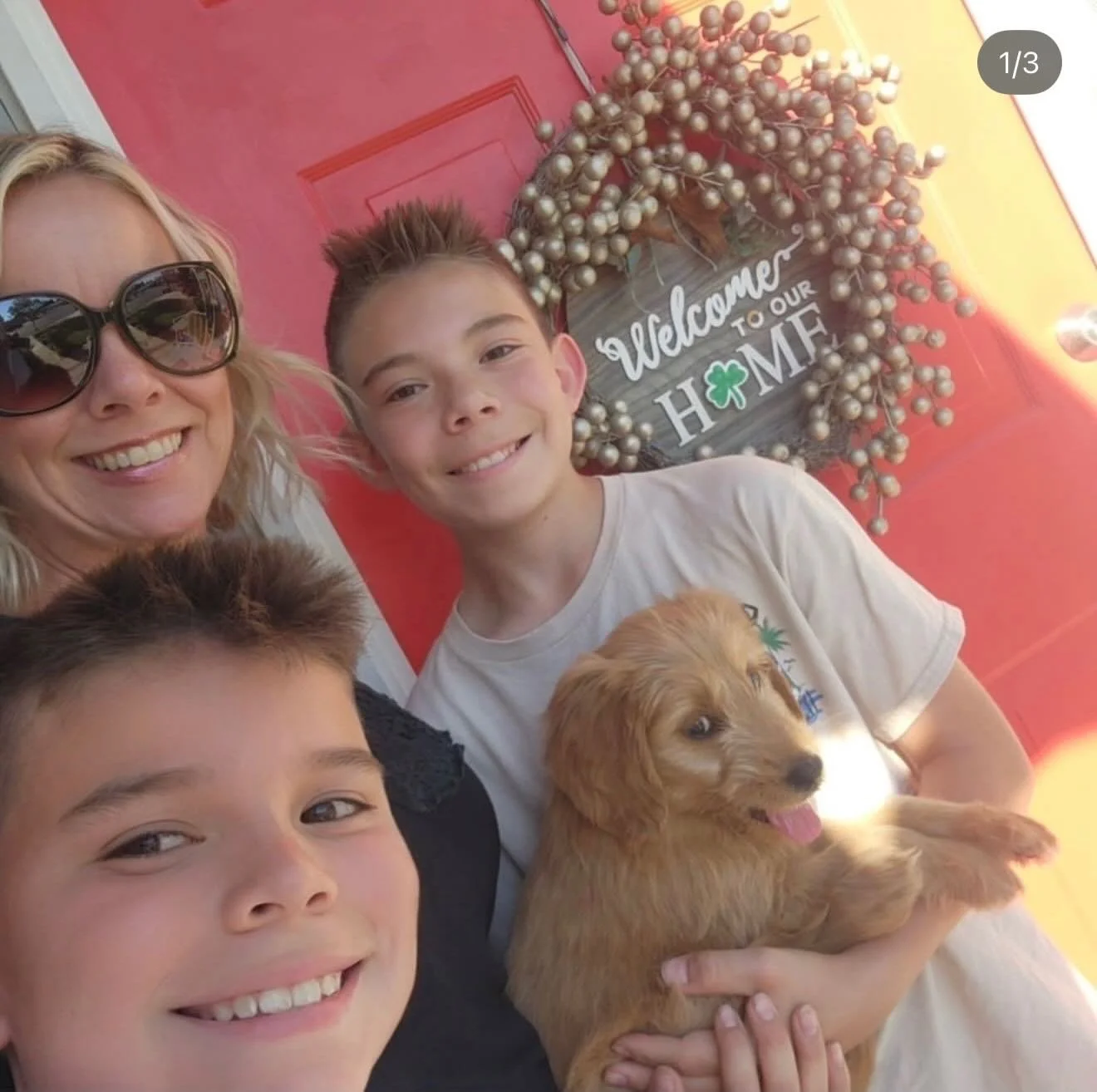 Our first pup has left the litter! 🩵 Congratulations to @baileygirl.goldendoodle for finding your furever home with a wonderful family!! I know you will be loved and spoiled and get all the belly rubs!!!