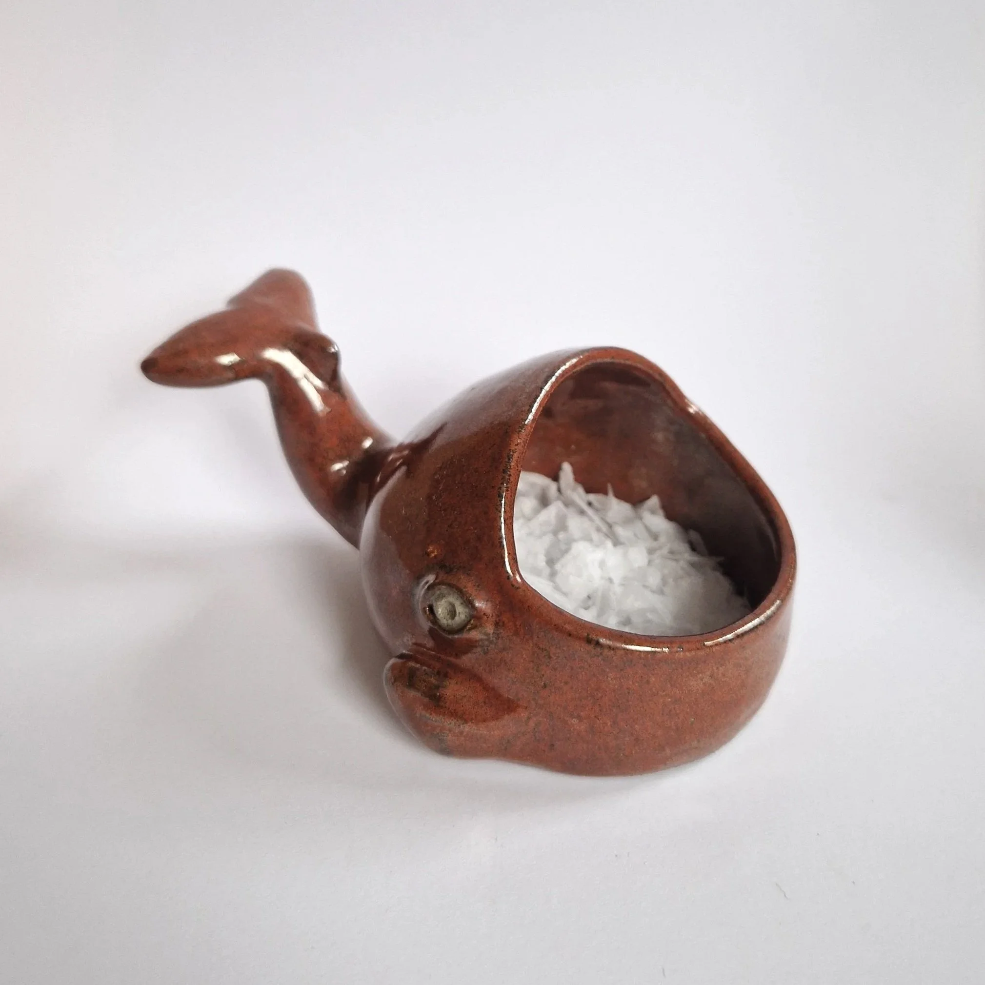 Salt Whale