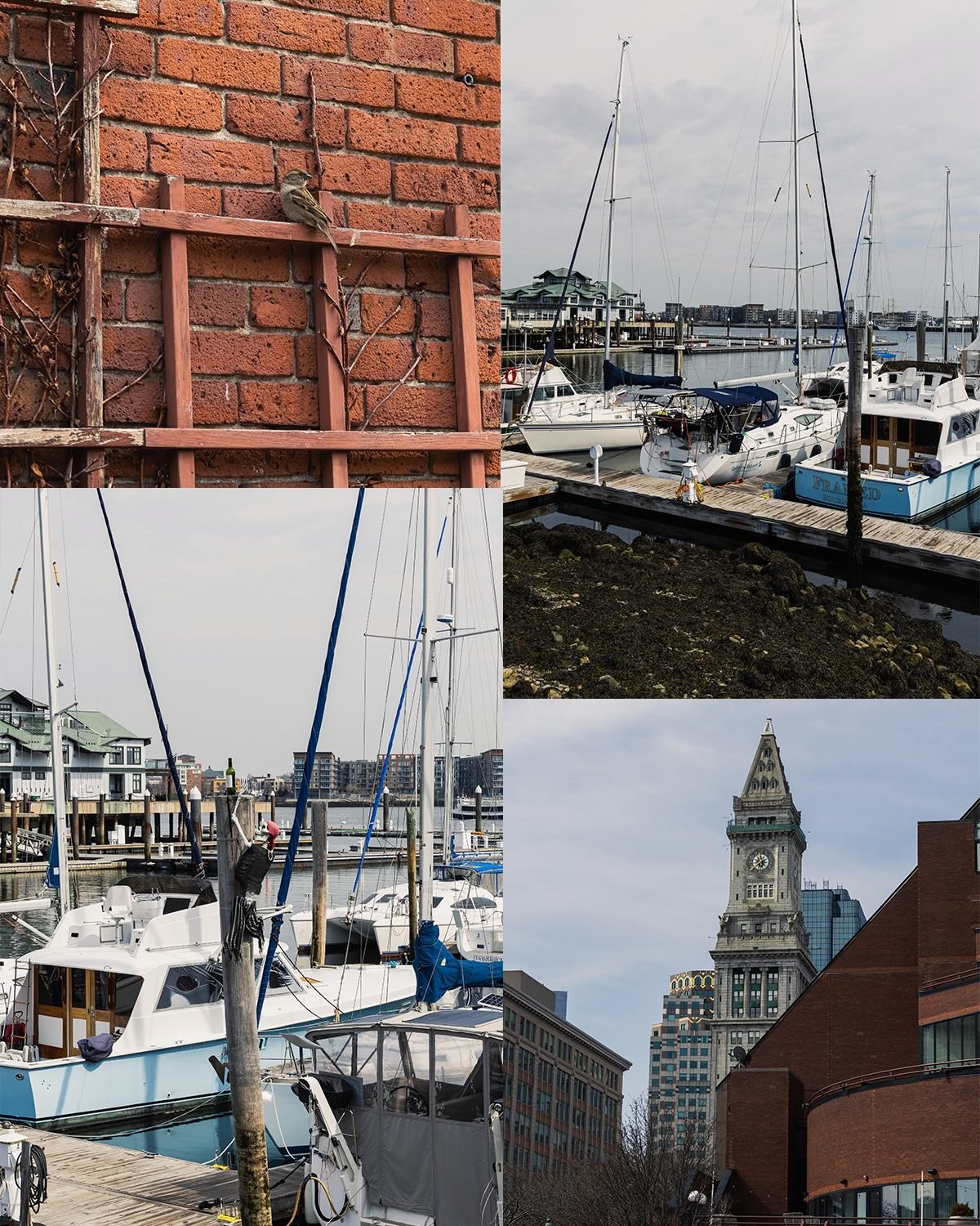 Day 3 in Boston

North End, Downtown, and South Boston Waterfront