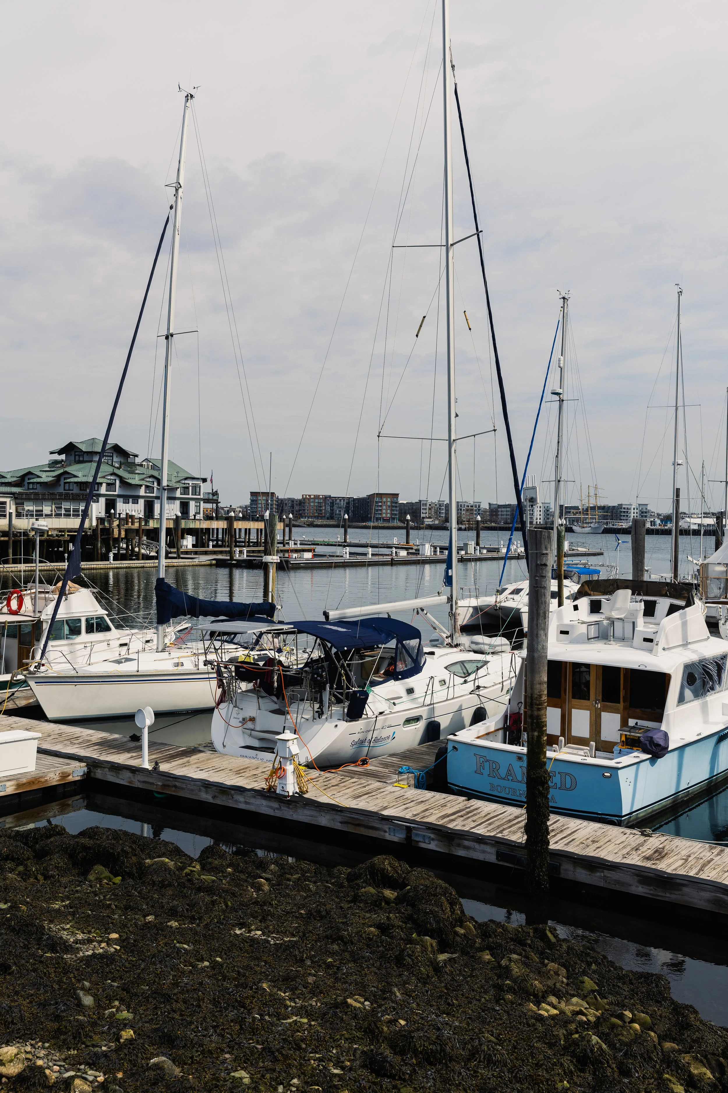 Marina with sailboats and motorboats docked at wooden piers, buildings and apartment complex in the background, cloudy sky above.