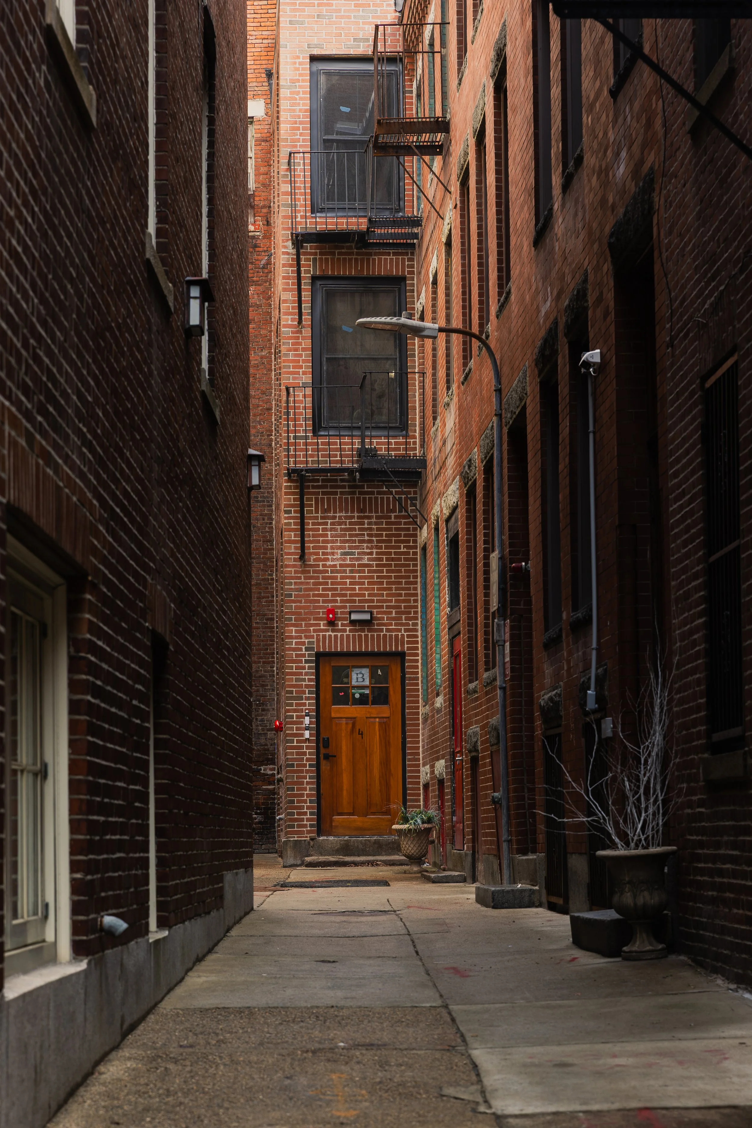Narrow alleyway between red brick apartment buildings with a wooden front door, potted plants, and fire escape balconies.