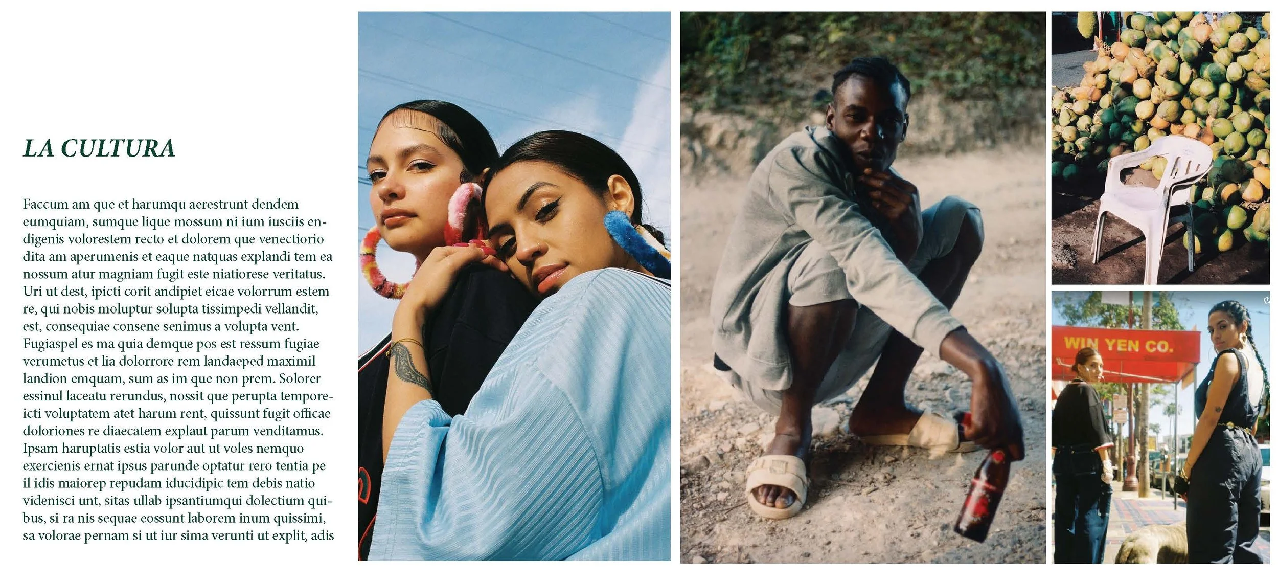 topo chico for treatment pulls_Page_11.jpg