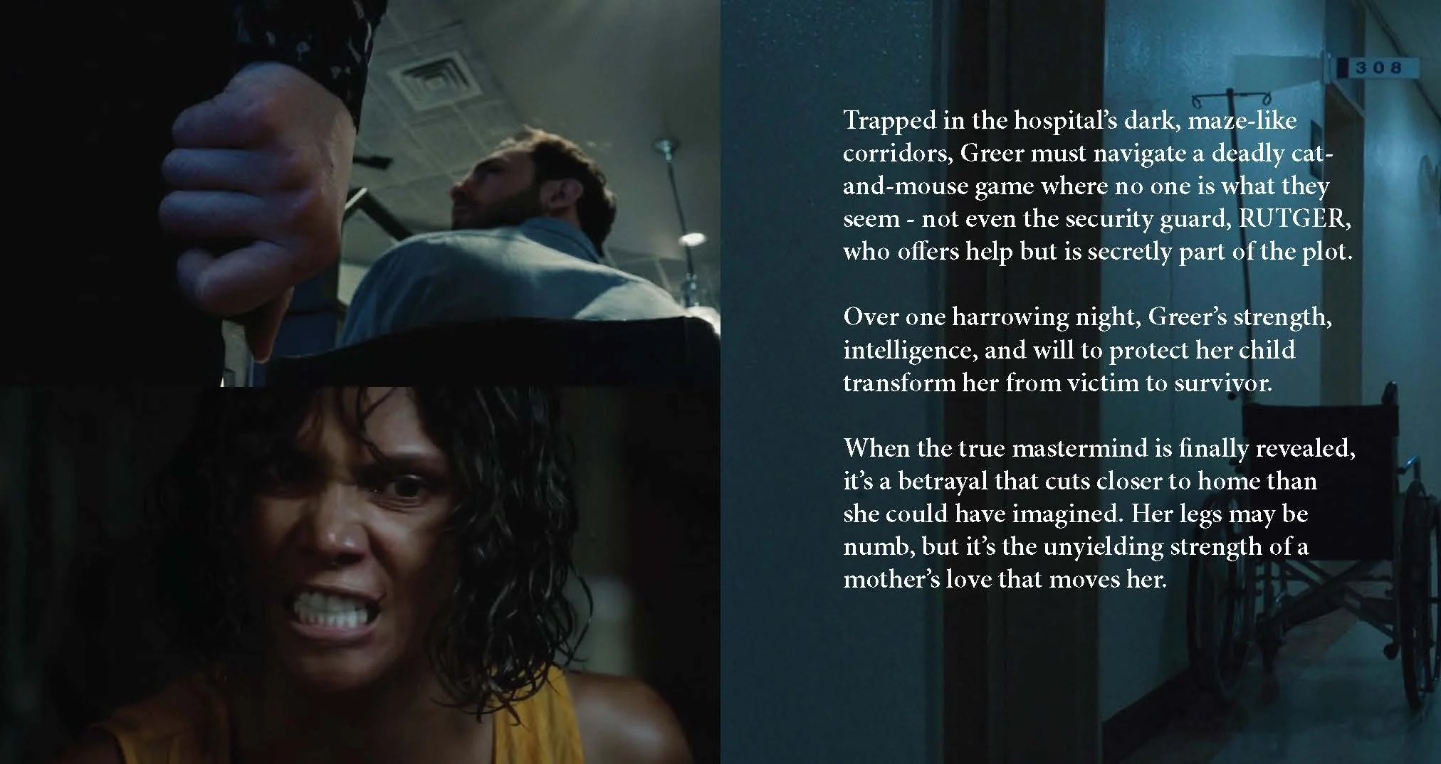 Cesarian Pitch Deck_v2 copy_Page_10.jpg