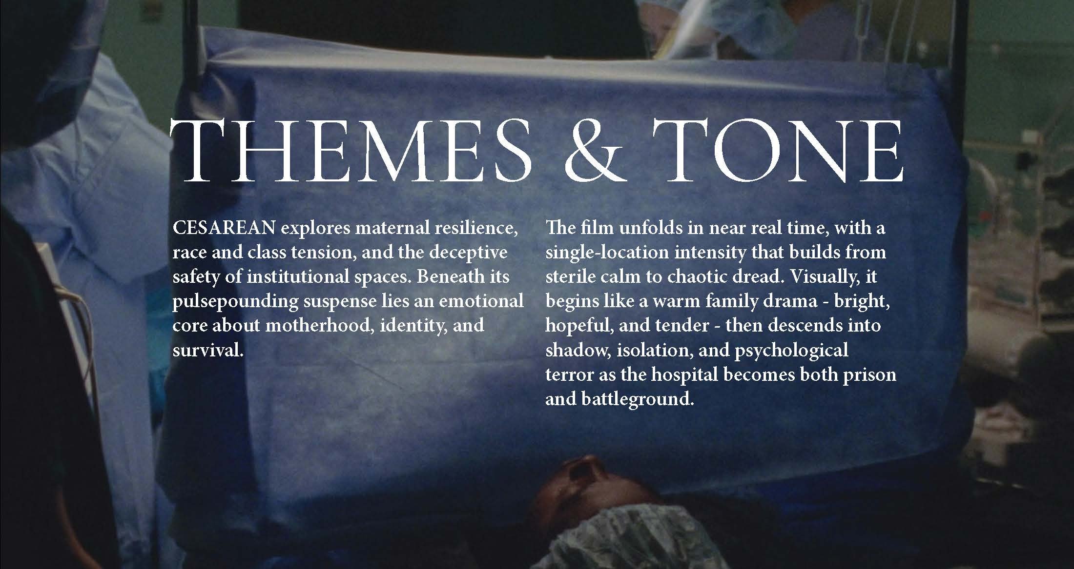 Cesarian Pitch Deck_v2 copy_Page_11.jpg