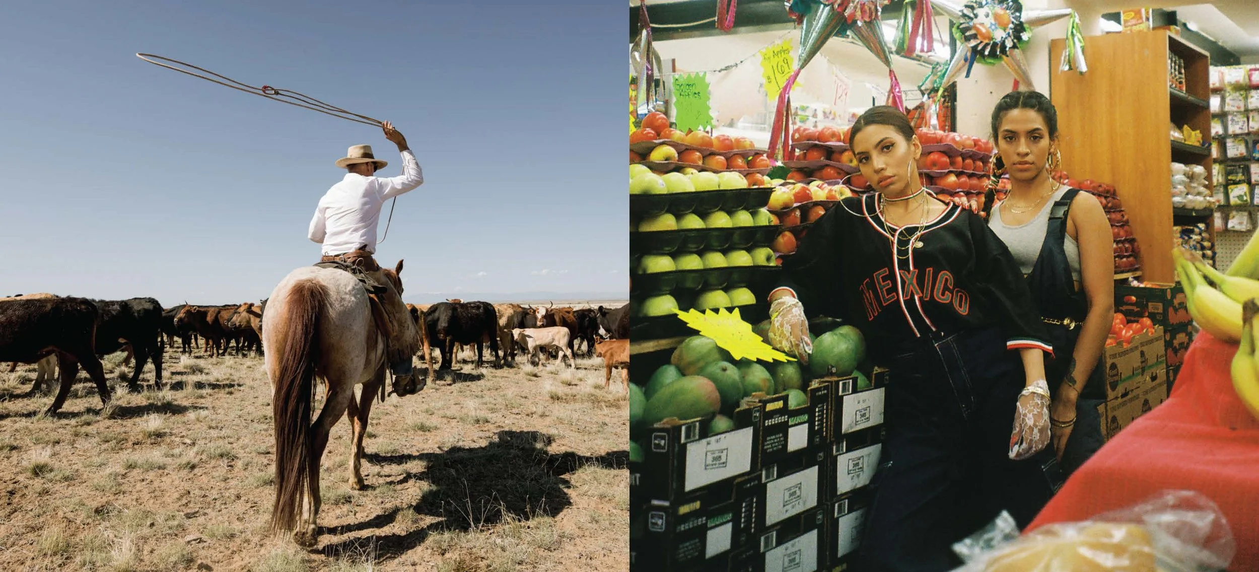 topo chico for treatment pulls_Page_05.jpg