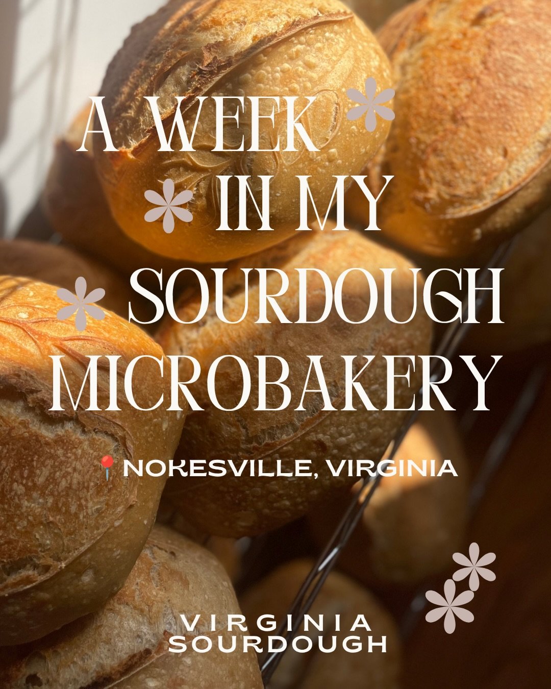 It was a busy week at Virginia Sourdough. I sold out at both markets I attended (THANK YOU!) 

Preorders are OPEN for 9/3 and 9/6 bake days. Preordering is the best way to ensure you can get fresh bread before it&rsquo;s gone! Screenshot the last ima