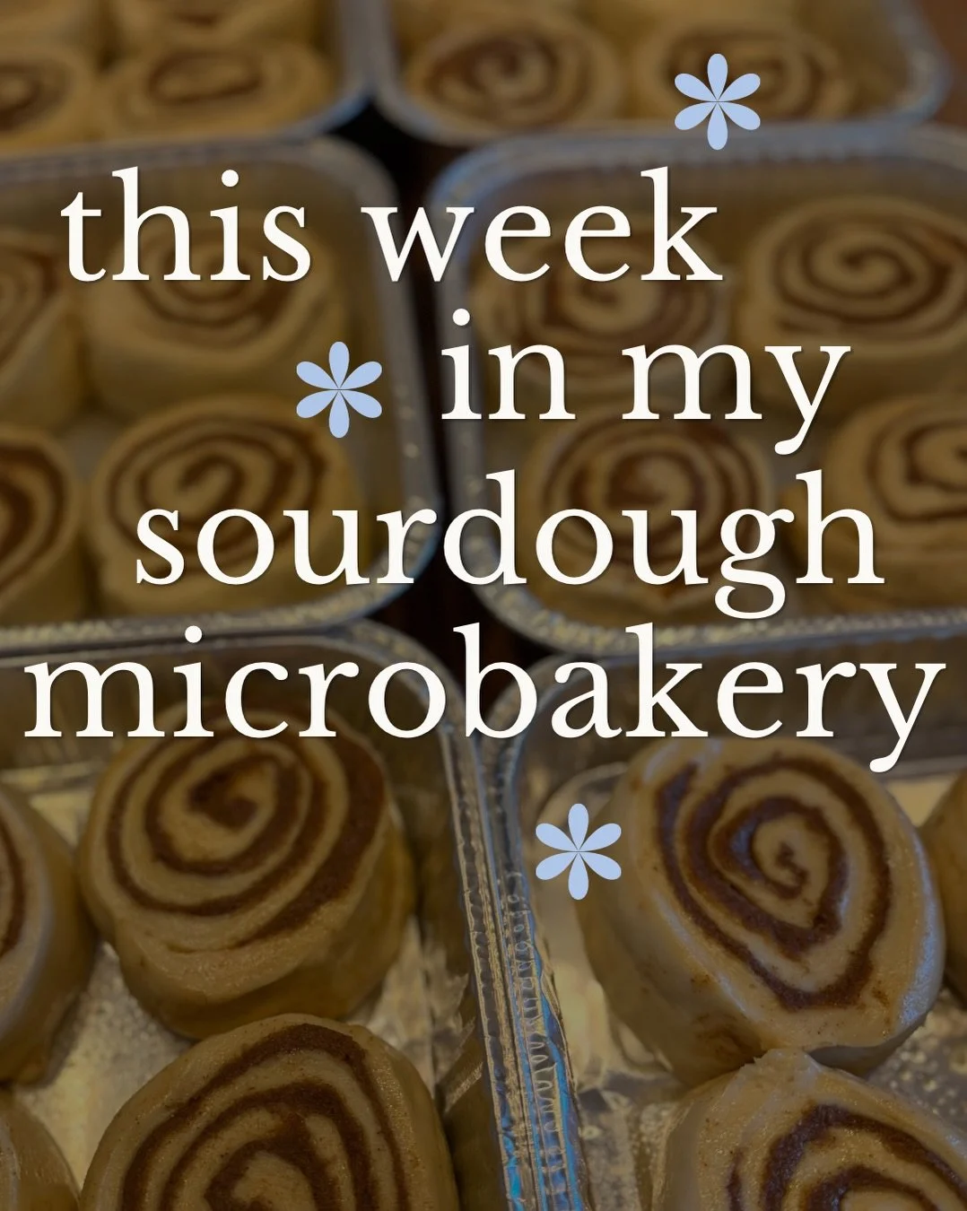 Feeling all of the fall vibes this week 🍂🍁🥮🥧

🍂baked 64 mini loaves for a fundraising event
🍁sold out of cinnamon rolls at fundraising event!
🥮ordered custom bags from vistaprint (+more business cards)
🥧hosted a sourdough 101 workshop
🍂succe