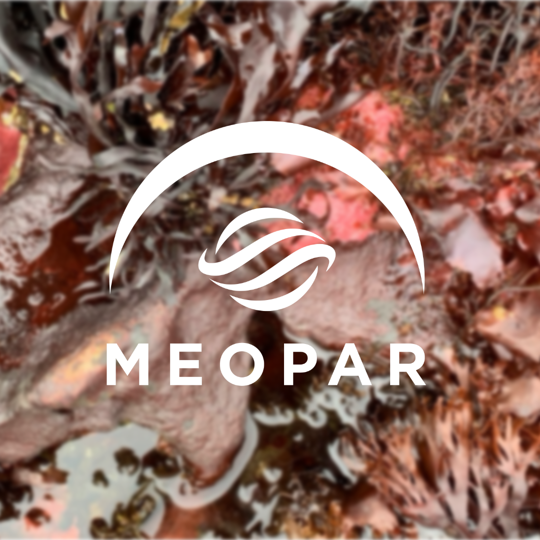 New Funding Announcement