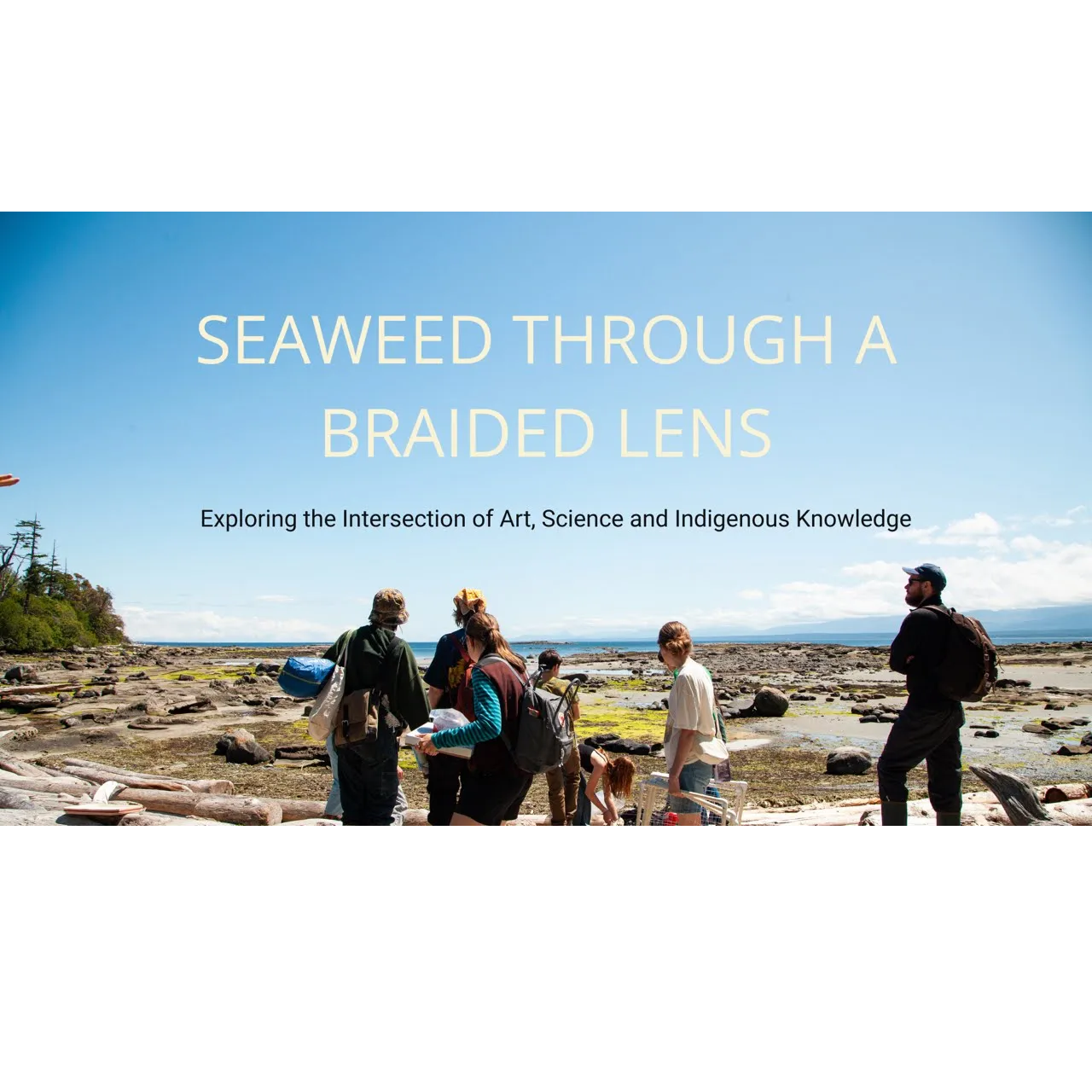 Seaweed Through a Braided Lens