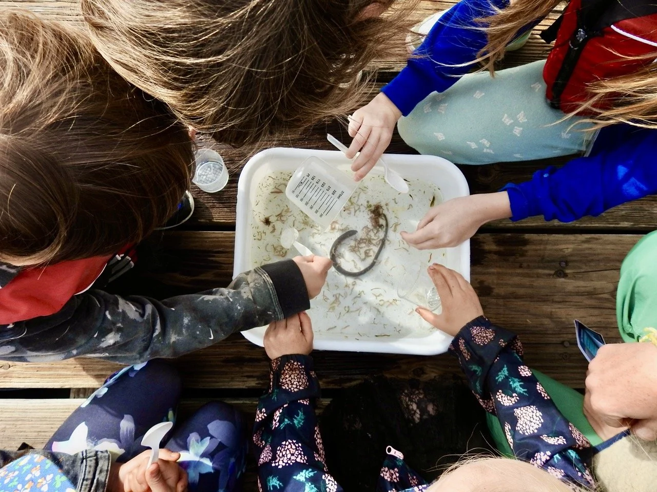 Natural History Centre 2025/26 School Year in Review