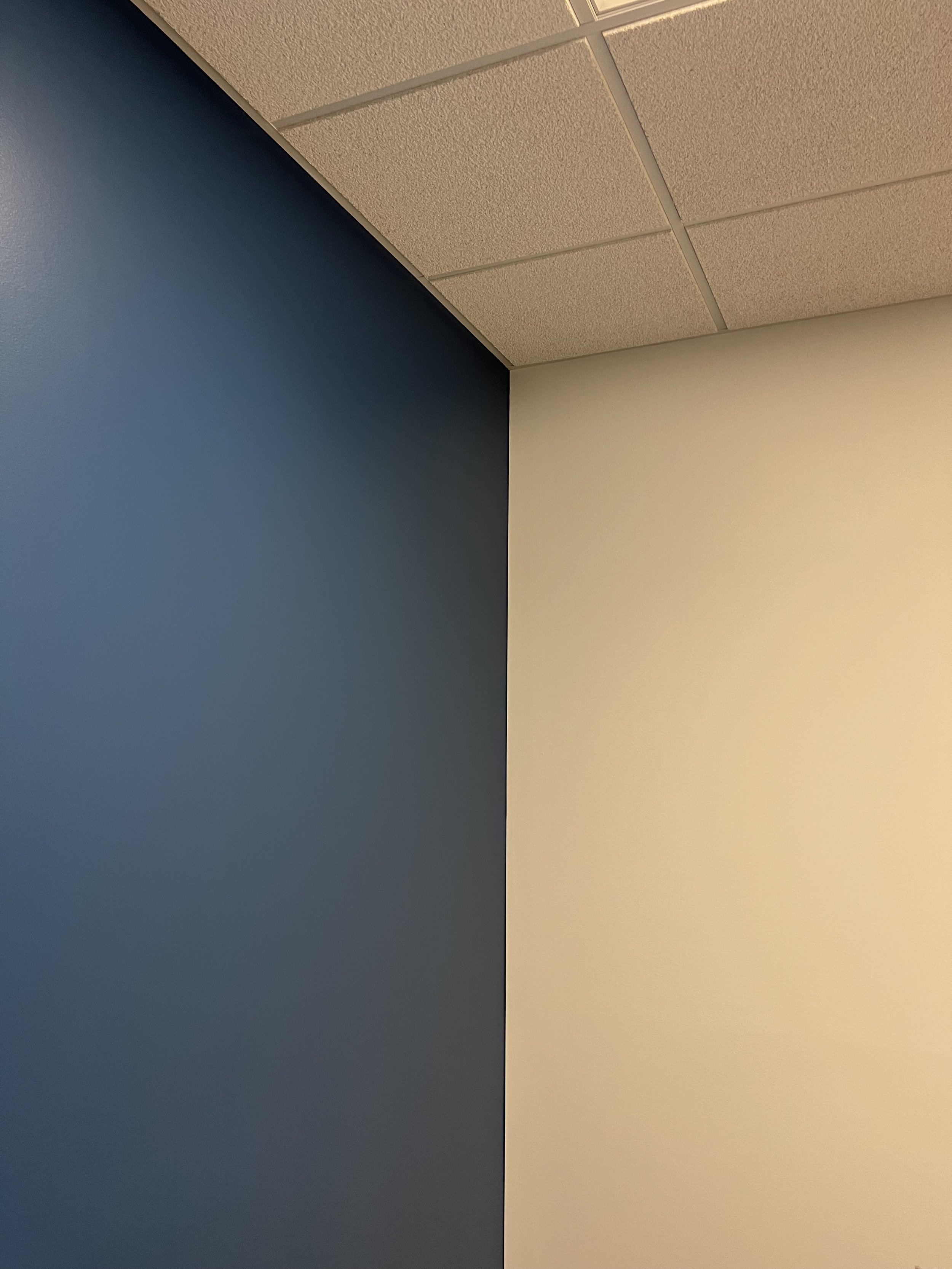 Corner of a room with a blue and beige wall converging under a drop ceiling with white tiles.