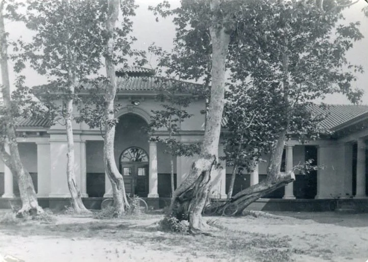 Sycamore School - 3.jpg