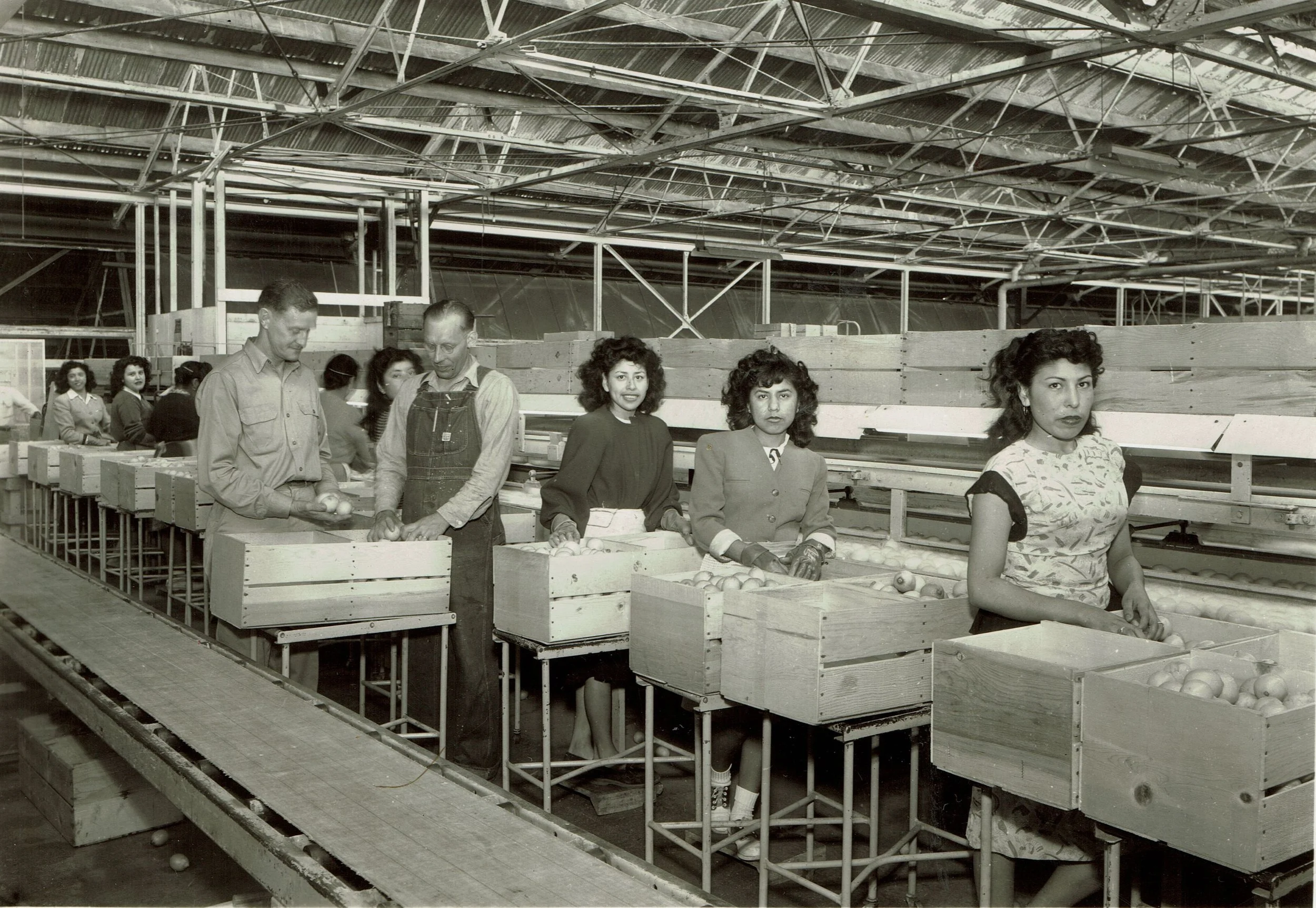 22x15 College Heights Women Packing 1955.jpg
