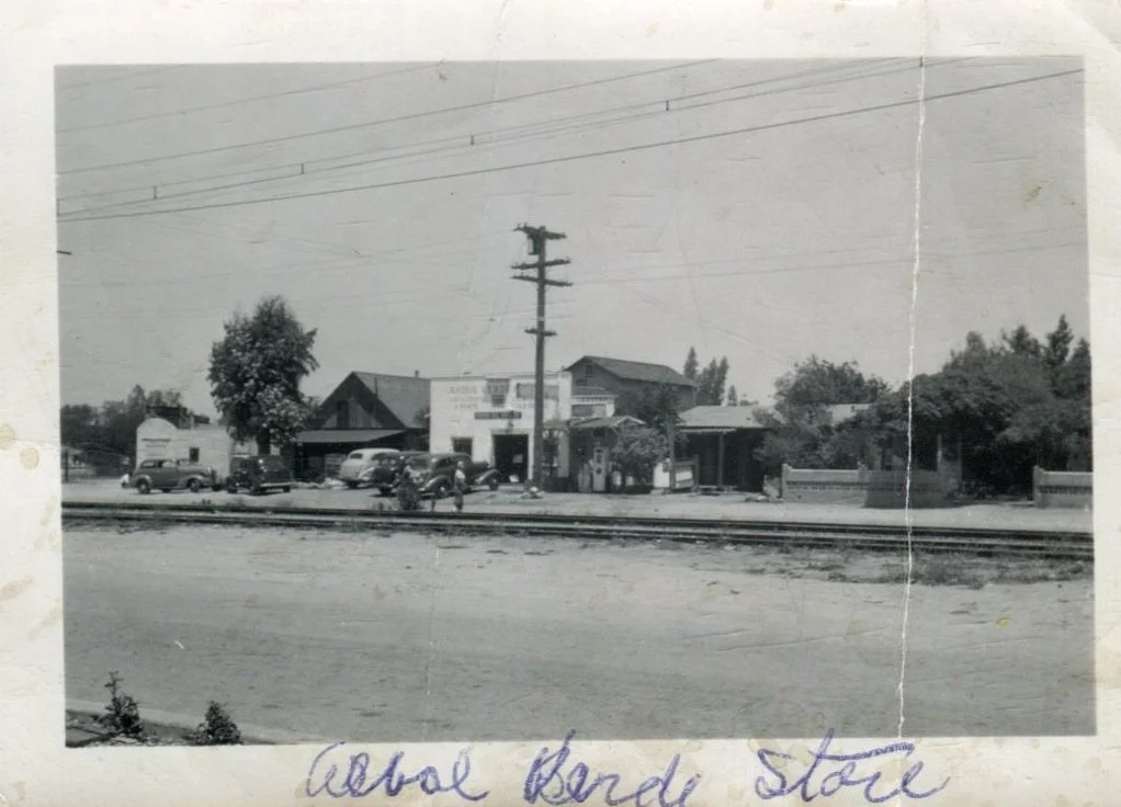 Arbol Verde Store.jpg