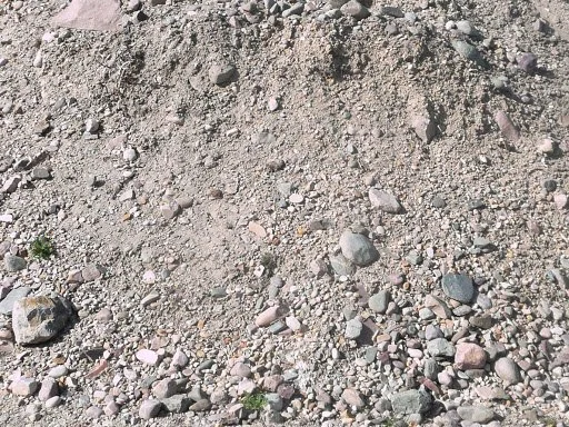 A patch of bare, rocky ground with scattered small stones and pebbles.