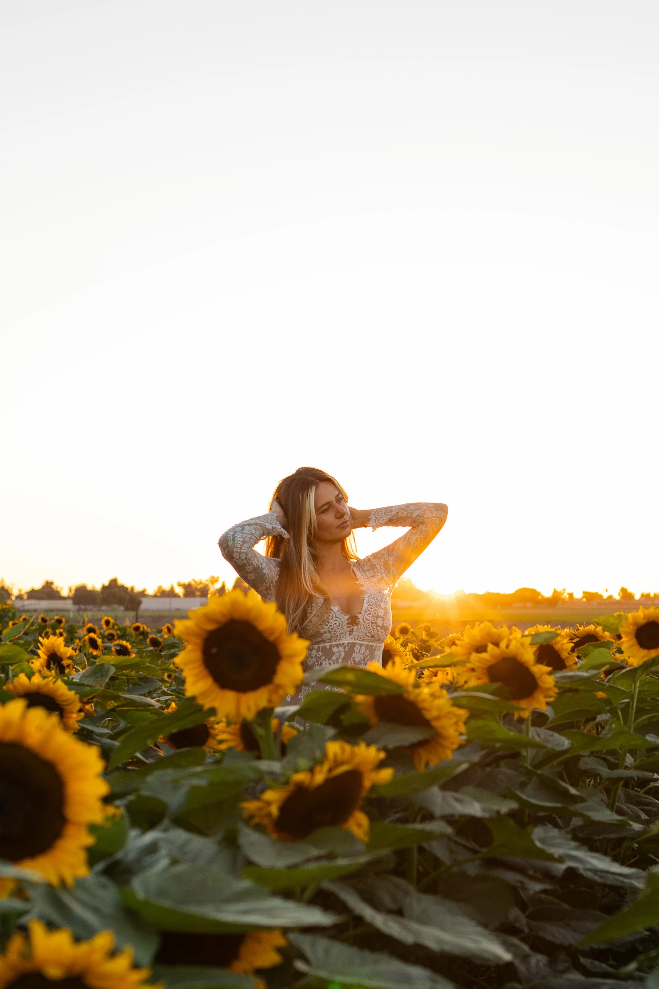 Jasmine-28-sunflowersfinals.jpg
