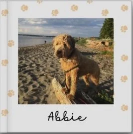 A dog named Abbie standing on a sandy beach near the water with trees in the background, inside a polaroid-style frame with floral decorations at the top.