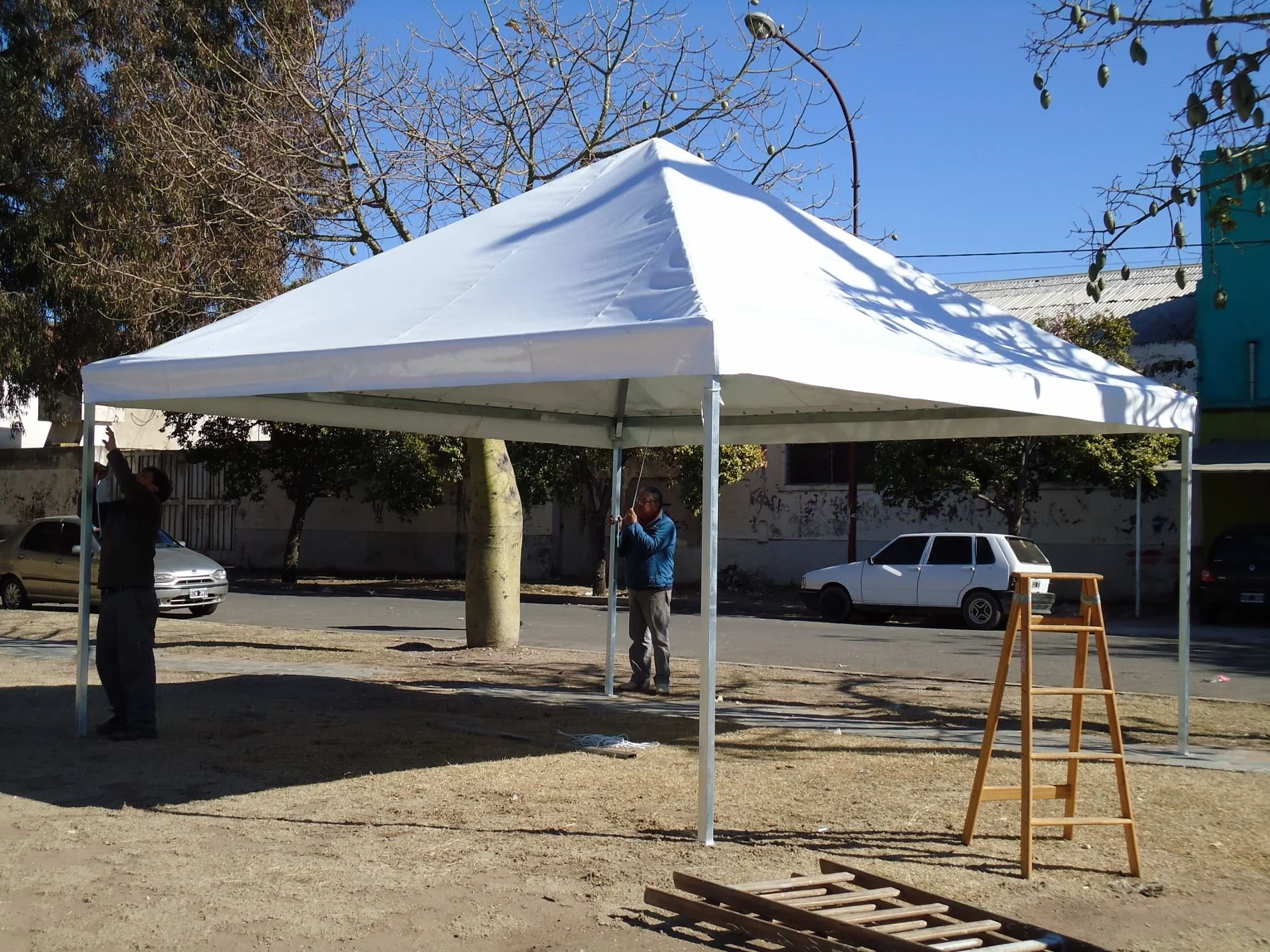 Carpa (27) (1900x1425).jpg