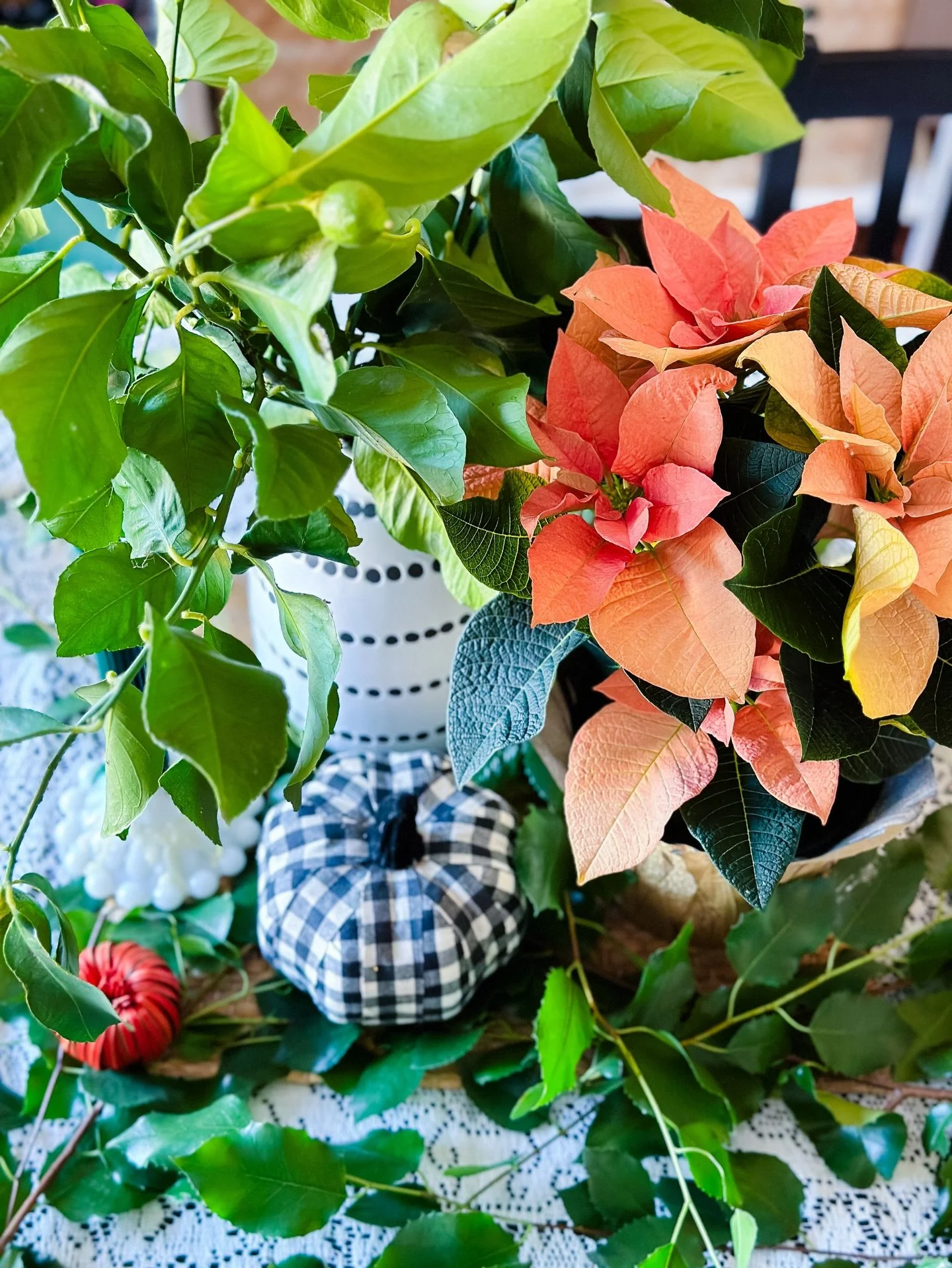 Wishing you all a Happy Thanksgiving!🍁