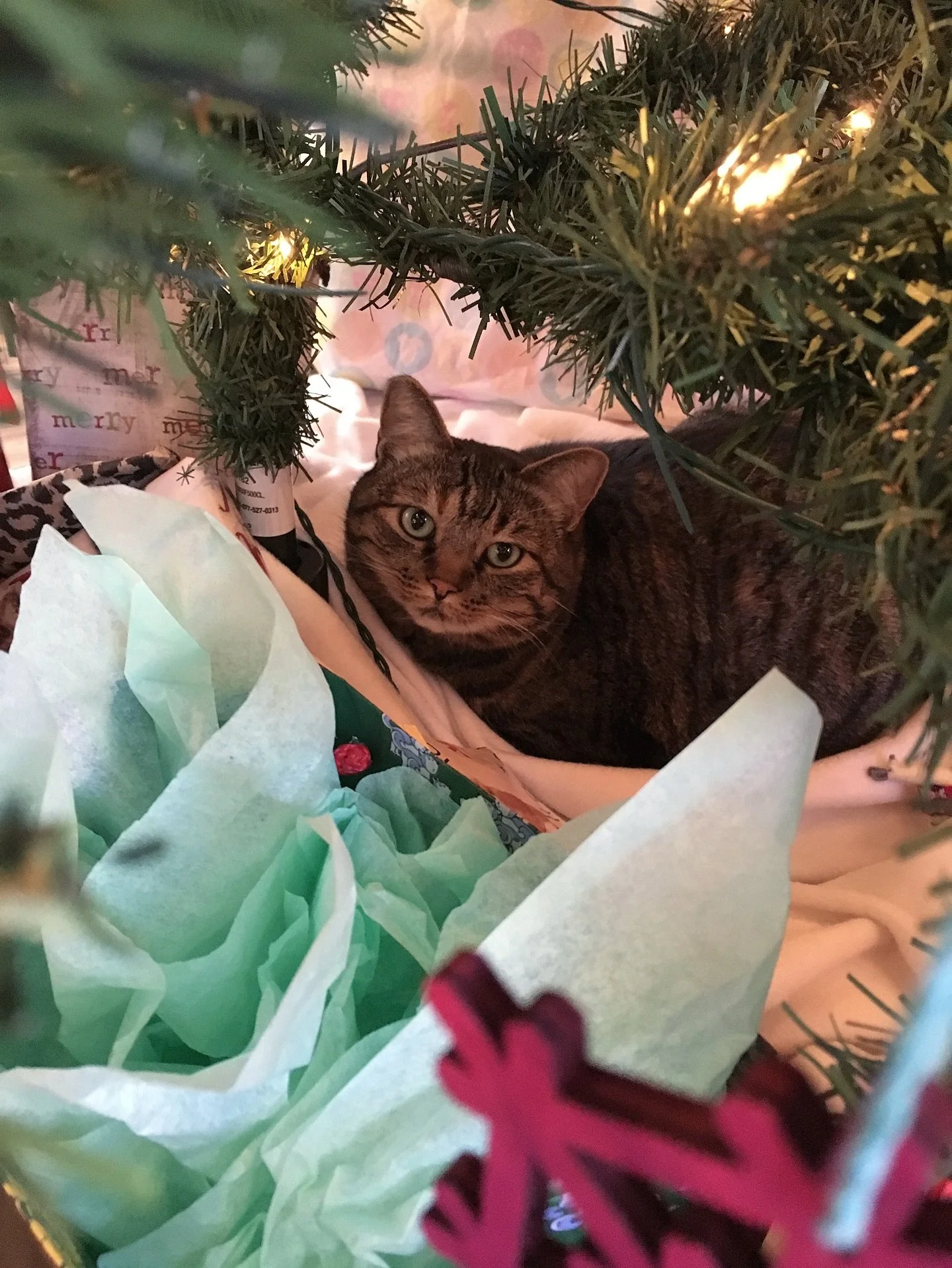 Merry Christmas!🎄🎁 I hope your day is full of joy and peace. 🎅☃️