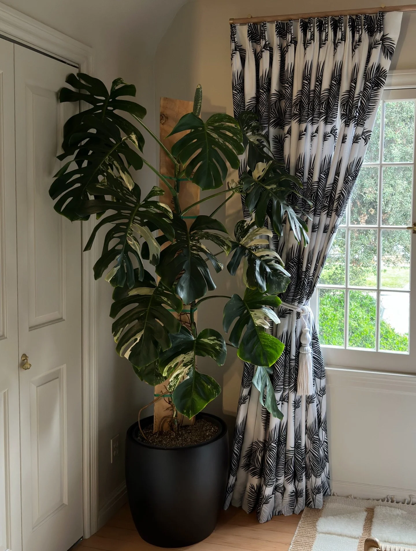 Happy New Year!🎊 May your year be full of joy and happiness.