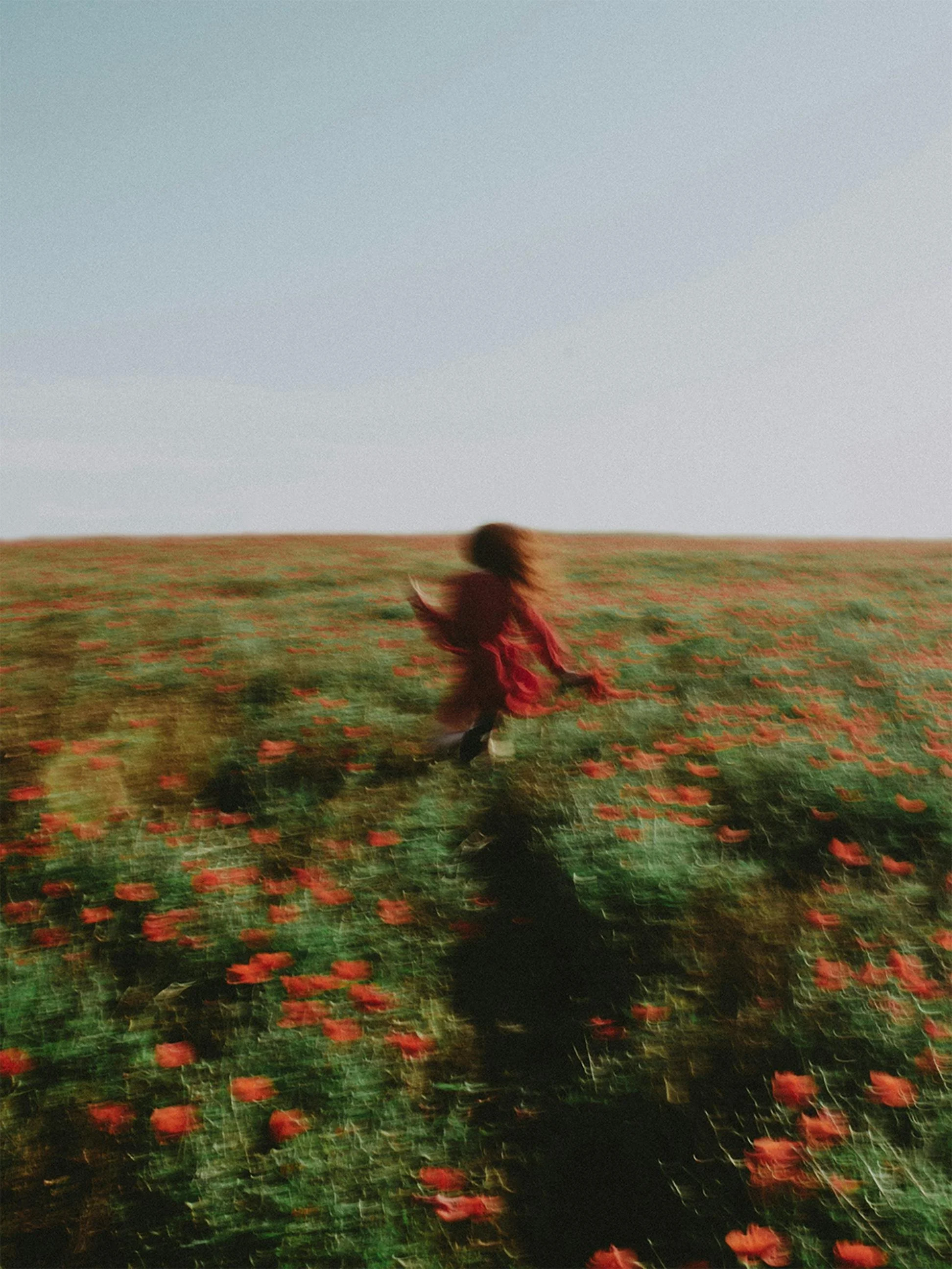Blurred image of a person in a red dress walking through a field of red flowers under a clear sky.