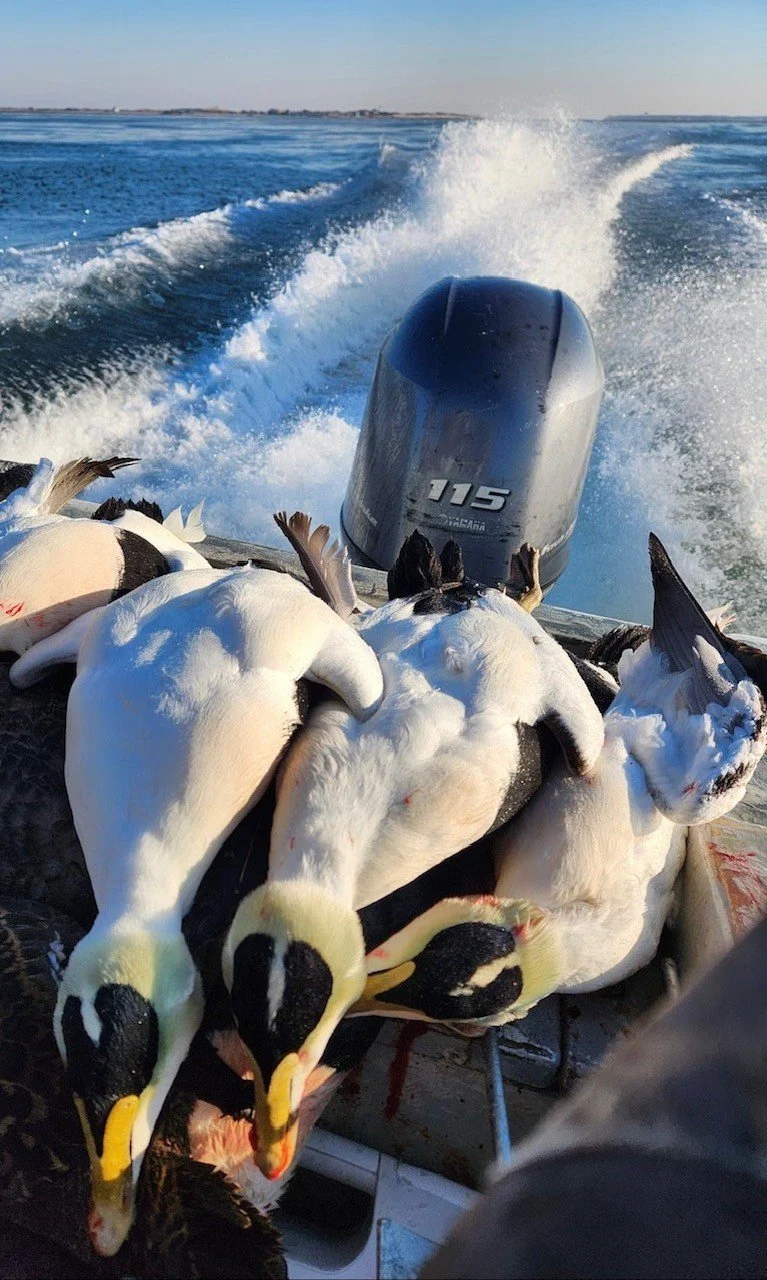 Dead ducks laying on a boat with an outboard motor, with water and waves in the background.